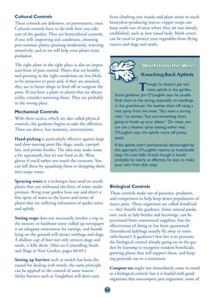 Cultural Controls                                            from climbing tree trunks and plant stems to reach
These controls are defensive, or preventative, ones.         honeydew-producing insects; copper strips can
Cultural controls have to do with how you take               keep snails out of areas where they are not already
care of the garden. They are horticultural controls,         established, such as new raised beds. Mesh covers
if you will: improving soil conditions, choosing             can be used to protect your vegetables from flying
pest-resistant plants, pruning moderately, watering          insects and slugs and snails.
attentively, and so on will help your plants resist
predation.
The right plant in the right place is also an impor-                           Words from the Wise:
tant form of pest control. Plants that are healthy
and growing in the right conditions are less likely                            Knocking Back Aphids
to be attractive to pests and, if they are attacked,
                                                                                    hough he doesn’t get too
they are in better shape to fend off or outgrow the
pests. If you have a plant or plants that are always
                                                                              T     many aphids in the garden,
                                                               Sunol gardener Jim O’Laughlin says he usually
sickly, consider removing them. They are probably
                                                               finds them in the spring, especially on seedlings
in the wrong place.
                                                               in the greenhouse. He washes them off using a
Mechanical Controls                                            mist spray from the hose. “You want a strong
With these tactics, which are also called physical             mist,” he advises, “but not something that’s
                                                               going to break up your plants.” On roses, you
controls, the gardener begins to take the offensive.
                                                               can use a heavier spray setting; either way,
These are direct, but nontoxic, interventions.
                                                               O’Laughlin says, the aphids come off pretty
Hand-picking is particularly effective against large           easily.
and slow-moving pests like slugs, snails, caterpil-            If the aphids aren’t permanently discouraged by
lars, and potato beetles. The idea may make some               this approach, O’Laughlin resorts to insecticidal
a bit squeamish, but it’s not hard to do. Wear                 soap. He uses Safer brand, though it would
gloves if you’d rather not touch the creatures. You            probably be nearly as effective, he says, to make
can kill them by squashing them or dropping them               your own from dish soap.
into soapy water.

Spraying water is a technique best used on sturdy
plants that can withstand the force of water under           Biological Controls
pressure. Bring your garden hose out and direct a            These controls make use of parasites, predators,
fine spray of water to the leaves and stems of               and competitors to help keep down populations of
plants that are suffering infestation of spider mites        insect pests. These organisms are called beneficials
and aphids.                                                  — they benefit the gardener. Some natural preda-
                                                             tors, such as lady beetles and lacewings, can be
Setting traps does not necessarily involve a trip to         purchased from commercial suppliers, but the
the nursery or hardware store; rolled up newspaper           effectiveness of doing so has been questioned.
is an adequate enticement for earwigs, and boards            (Introduced ladybugs usually fly away to some
lying on the ground will attract sowbugs and slugs.          other home!) A gardener’s best bet is to promote
A shallow cup of beer not only attracts slugs and            the biological control already going on in the gar-
snails, it kills them. (Also see Controlling Snails          den by learning to recognize resident beneficials,
and Slugs in Your Garden, pages 68-69.)                      growing plants that will support them, and keep-
Setting up barriers such as mulch has been dis-              ing pesticide use to a minimum.
cussed for dealing with weeds; the same principle
                                                             Compost tea might not immediately come to mind
can be applied to the control of some insects.
                                                             as a biological control, but it is loaded with good
Sticky barriers such as Tanglefoot will deter ants
                                                             organisms that outcompete pest organisms, some of

                                                        64
 