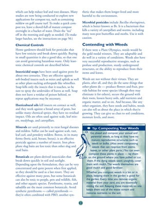 which can help reduce leaf and root diseases. Many           thetic that makes them longer-lived and more
studies are now being conducted to explore new               harmful to the environment.
applications for compost tea, such as containing
mildew on golf course turf. To make a quick com-             Microbial pesticides include Bacillus thuringiensis,
post tea, leave a shovel-full of mature compost              which is better known as Bt. It is a bacterium that
overnight in a bucket of water. Drain the “tea”              kills a variety of caterpillars and worms, including
off in the morning and apply as needed. (To make             many non-pest butterflies and moths. Use it with
larger batches, see the instructions on page 50.)            caution.

Chemical Controls                                            Contending with Weeds
Home gardeners should look for pesticides that               If there were a Plant Olympics, weeds would be
have low toxicity and break down quickly. Buying             the gold medal winners. They are adaptable and
in small quantities is also a good idea, so that one         do well in a variety of conditions. Weeds also have
can avoid generating hazardous waste. Only least-            very successful reproductive strategies, such as
toxic chemical controls are described below.                 profuse seed production, sturdy underground
                                                             structures, or the ability to reproduce from their
Insecticidal soaps have been used against pests for          stems and leaves.
about two centuries. They are effective against
soft-bodied insects such as mites and aphids as well         Weeds are not without their virtues. They are
as other plant-sucking arthropods like whiteflies.           plants, after all, and they do the same things that
Soap kills only the insects that it touches, so be           other plants do — produce flowers and fruit, pro-
sure to spray the undersides of leaves as well. Soap         vide habitat for some species (though they may
does not leave a residue of poison behind, so                eliminate it for others), secure the ground with
repeat applications may be necessary.                        their roots, loosen heavy soils, add nutrients and
                                                             organic matter, and so on. And because, like any
Horticultural oils kill insects on contact as well,          other organism, they have needs and habits, weeds
and they work against a broad array of pests, but            can also tell us about the place in which they’re
unlike many chemical sprays, they have no residual           growing. They can give us clues to soil conditions,
impact. Oils are often used against scale, leaf min-         moisture levels, and more.
ers, mealybugs, and caterpillars.

Minerals are used primarily to treat fungal diseases                 Tip: Composting Your Weeds
and mildew. Sulfur can be used against scab, rust,
                                                                    Go ahead and compost your annual and
leaf curl, and powdery mildew. Boron, in its many
                                                                     perennial weeds, as long as they have no
forms (boric acid, borate, borax), is an effective                   mature reproductive structures such as
pesticide against a number of insects. Iron phos-                     seeds or bulbs. (Also avoid composting
phate slug baits are less toxic than other slug and                   weeds that can resprout from stems,
snail baits.                                                        leaves, or other plant parts.) You can even
                                                                   compost these plants in place — lay them
Botanicals are plant-derived insecticides that                    on the ground where you have pulled or cut
break down quickly in soil and sunlight.                         them. If the dying weeds seem unsightly, cover
Depending upon the formulation, they can be very                them with mulch.The weeds themselves are
concentrated and quite potent when first applied,               good mulch and good fertilizer.
so they should be used as a last resort. They are               Whether you compost weeds in a bin or in
effective against many pests, but some botanicals               place, keeping them in the garden is good for
can also be toxic to people, pets and wildlife, fish,           the garden. Every time you remove organic
and other aquatic species. Pyrethrums, ryania, and              material from your yard, you are essentially
sabadilla are the most common botanicals. Avoid                 mining the soil. Keeping these materials on site
                                                                keeps them out of the waste stream and
synthetic pyrethrums — called pyrethroids —
                                                                restores nutrients to the soil.
they’re often combined with PBO, another syn-

                                                        65
 