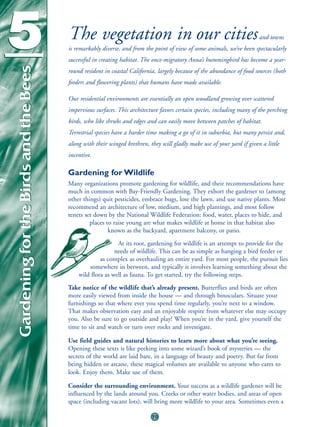 5
Gardening for the Birds and the Bees
                                       The vegetation in our cities                                                     and towns
                                       is remarkably diverse, and from the point of view of some animals, we’ve been spectacularly
                                       successful in creating habitat. The once-migratory Anna’s hummingbird has become a year-
                                       round resident in coastal California, largely because of the abundance of food sources (both
                                       feeders and flowering plants) that humans have made available.

                                       Our residential environments are essentially an open woodland growing over scattered
                                       impervious surfaces. This architecture favors certain species, including many of the perching
                                       birds, who like shrubs and edges and can easily move between patches of habitat.
                                       Terrestrial species have a harder time making a go of it in suburbia, but many persist and,
                                       along with their winged brethren, they will gladly make use of your yard if given a little
                                       incentive.

                                       Gardening for Wildlife
                                       Many organizations promote gardening for wildlife, and their recommendations have
                                       much in common with Bay-Friendly Gardening. They exhort the gardener to (among
                                       other things) quit pesticides, embrace bugs, lose the lawn, and use native plants. Most
                                       recommend an architecture of low, medium, and high plantings, and most follow
                                       tenets set down by the National Wildlife Federation: food, water, places to hide, and
                                                places to raise young are what makes wildlife at home in that habitat also
                                                        known as the backyard, apartment balcony, or patio.
                                                           At its root, gardening for wildlife is an attempt to provide for the
                                                          needs of wildlife. This can be as simple as hanging a bird feeder or
                                                    as complex as overhauling an entire yard. For most people, the pursuit lies
                                               somewhere in between, and typically it involves learning something about the
                                           wild flora as well as fauna. To get started, try the following steps.
                                       Take notice of the wildlife that’s already present. Butterflies and birds are often
                                       more easily viewed from inside the house — and through binoculars. Situate your
                                       furnishings so that where ever you spend time regularly, you’re next to a window.
                                       That makes observation easy and an enjoyable respite from whatever else may occupy
                                       you. Also be sure to go outside and play! When you’re in the yard, give yourself the
                                       time to sit and watch or turn over rocks and investigate.

                                       Use field guides and natural histories to learn more about what you’re seeing.
                                       Opening these texts is like peeking into some wizard’s book of mysteries — the
                                       secrets of the world are laid bare, in a language of beauty and poetry. But far from
                                       being hidden or arcane, these magical volumes are available to anyone who cares to
                                       look. Enjoy them. Make use of them.

                                       Consider the surrounding environment. Your success as a wildlife gardener will be
                                       influenced by the lands around you. Creeks or other water bodies, and areas of open
                                       space (including vacant lots), will bring more wildlife to your area. Sometimes even a

                                                                          70
 
