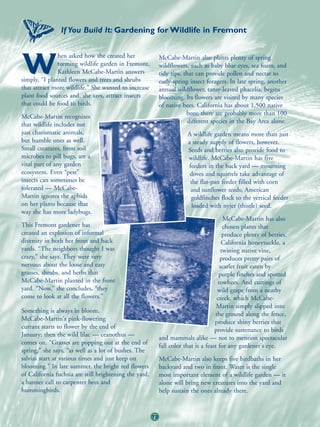 If You Build It: Gardening for Wildlife in Fremont


               hen asked how she created her

W              teeming wildlife garden in Fremont,
               Kathleen McCabe-Martin answers
simply, “I planted flowers and trees and shrubs
                                                             McCabe-Martin also plants plenty of spring
                                                             wildflowers, such as baby blue eyes, sea foam, and
                                                             tidy tips, that can provide pollen and nectar to
                                                             early-spring insect foragers. In late spring, another
that attract more wildlife.” She wanted to increase          annual wildflower, tansy-leaved phacelia, begins
plant food sources and, she says, attract insects            blooming. Its flowers are visited by many species
that could be food to birds.                                 of native bees. California has about 1,500 native
                                                                         bees; there are probably more than 100
McCabe-Martin recognizes
                                                                          different species in the Bay Area alone.
that wildlife includes not
just charismatic animals,                                                A wildlife garden means more than just
but humble ones as well.                                                 a steady supply of flowers, however.
Small creatures, from soil                                               Seeds and berries also provide food to
microbes to pill bugs, are a                                             wildlife. McCabe-Martin has five
vital part of any garden                                                 feeders in the back yard — mourning
ecosystem. Even “pest”                                                    doves and squirrels take advantage of
insects can sometimes be                                                  the flat-pan feeder filled with corn
tolerated — McCabe-                                                       and sunflower seeds; American
Martin ignores the aphids                                                 goldfinches flock to the vertical feeder
on her plants because that                                                 loaded with nyjer (thistle) seed.
way she has more ladybugs.
                                                                                           McCabe-Martin has also
This Fremont gardener has                                                                  chosen plants that
created an explosion of informal                                                           produce plenty of berries.
diversity in both her front and back                                                      California honeysuckle, a
yards. “The neighbors thought I was                                                       twining native vine,
crazy,” she says. They were very                                                         produces pretty pairs of
nervous about the loose and easy                                                         scarlet fruit eaten by
grasses, shrubs, and herbs that                                                         purple finches and spotted
McCabe-Martin planted in the front                                                      towhees. And cuttings of
yard. “Now,” she concludes, “they                                                      wild grape from a nearby
come to look at all the flowers.”                                                      creek, which McCabe-
                                                                                       Martin simply slipped into
Something is always in bloom.
                                                                                      the ground along the fence,
McCabe-Martin's pink-flowering
                                                                                      produce shiny berries that
currant starts to flower by the end of
                                                                                      provide sustenance to birds
January; then the wild lilac — ceanothus —
                                                             and mammals alike — not to mention spectacular
comes on. “Grasses are popping out at the end of
                                                             fall color that is a feast for any gardener's eye.
spring,” she says, “as well as a lot of bushes. The
salvias start at various times and just keep on              McCabe-Martin also keeps five birdbaths in her
blooming.” In late summer, the bright red flowers            backyard and two in front. Water is the single
of California fuchsia are still brightening the yard,        most important element of a wildlife garden — it
a banner call to carpenter bees and                          alone will bring new creatures into the yard and
hummingbirds.                                                help sustain the ones already there.


                                                        72
 