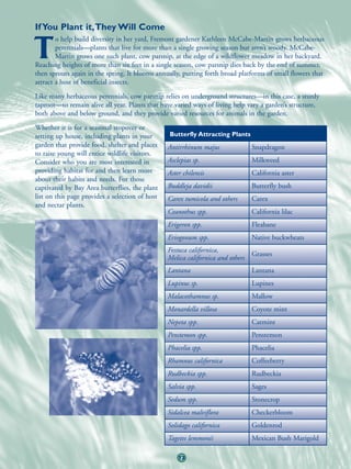 If You Plant it,They Will Come
        o help build diversity in her yard, Fremont gardener Kathleen McCabe-Martin grows herbaceous

T       perennials—plants that live for more than a single growing season but aren’t woody. McCabe-
        Martin grows one such plant, cow parsnip, at the edge of a wildflower meadow in her backyard.
Reaching heights of more than six feet in a single season, cow parsnip dies back by the end of summer,
then sprouts again in the spring. It blooms annually, putting forth broad platforms of small flowers that
attract a host of beneficial insects.
Like many herbaceous perennials, cow parsnip relies on underground structures—in this case, a sturdy
taproot—to remain alive all year. Plants that have varied ways of living help vary a garden’s structure,
both above and below ground, and they provide varied resources for animals in the garden.
Whether it is for a seasonal stopover or
setting up house, including plants in your       Butterfly Attracting Plants
garden that provide food, shelter and places     Antirrhinum majus               Snapdragon
to raise young will entice wildlife visitors.
Consider who you are most interested in          Asclepias sp.                   Milkweed
providing habitat for and then learn more        Aster chilensis                 California aster
about their habits and needs. For those
captivated by Bay Area butterflies, the plant    Buddleja davidii                Butterfly bush
list on this page provides a selection of host   Carex tumicola and others       Carex
and nectar plants.
                                                 Ceanothus spp.                  California lilac
                                                 Erigeron spp.                   Fleabane
                                                 Eriogonum spp.                  Native buckwheats
                                                 Festuca californica,
                                                                                 Grasses
                                                 Melica californica and others
                                                 Lantana                         Lantana
                                                 Lupinus sp.                     Lupines
                                                 Malacothamnus sp.               Mallow
                                                 Monardella villosa              Coyote mint
                                                 Nepeta spp.                     Catmint
                                                 Penstemon spp.                  Penstemon
                                                 Phacelia spp.                   Phacelia
                                                 Rhamnus californica             Coffeeberry
                                                 Rudbeckia spp.                  Rudbeckia
                                                 Salvia spp.                     Sages
                                                 Sedum spp.                      Stonecrop
                                                 Sidalcea malviflora             Checkerbloom
                                                 Solidago californica            Goldenrod
                                                 Tagetes lemmonii                Mexican Bush Marigold

                                                     73
 