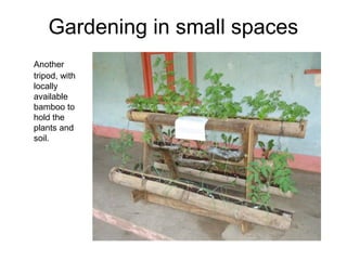 Gardening in small spaces
Another
tripod, with
locally
available
bamboo to
hold the
plants and
soil.
 