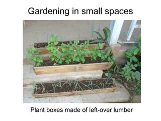 Gardening in small spaces
If you
have a
few
blocks
left over,
they can
be put to
good use
 