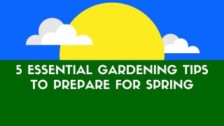 5 Essential Gardening Tips To Prepare For Spring