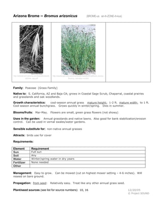 Arizona Brome – Bromus arizonicus

http://sdrsnet.srnr.arizona.edu/data/sdrs/ww/do
cs/brom_spp.pdf

(BROME-us air-ih-ZONE-ih-kus)

http://weeds.ippc.orst.edu/pnw/weeds?weeds/id/California_brome-Bromus_carinatus--m.html

Family: Poaceae (Grass Family)
Native to: S. California, AZ and Baja CA; grows in Coastal Sage Scrub, Chaparral, coastal prairies
and grasslands and oak woodlands.

cool-season annual grass mature height: 1-2 ft. mature width: to 1 ft.
Cool season annual bunchgrass. Grows quickly in winter/spring. Dies in summer.

Growth characteristics:

Blooms/fruits: Mar-May. Flowers are small, green grass flowers (not showy)
Annual grasslands and native lawns. Also good for bank stabilization/erosion
Can be used in vernal swales/water gardens.

Uses in the garden:
control.

Sensible substitute for: non-native annual grasses
Attracts: birds use for cover
Requirements:
Element
Sun
Soil
Water
Fertilizer
Other

Requirement

Full sun
Any
Winter/spring water in dry years
None needed

Management: Easy to grow. Can be mowed (cut on highest mower setting – 4-6 inches). Will
reseed on bare ground.

Propagation: from seed: Relatively easy. Treat like any other annual grass seed.
Plant/seed sources (see list for source numbers): 10, 16

12/20/05
© Project SOUND

 