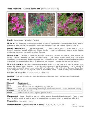 *Red Ribbons – Clarkia concinna

(KLAR-kee-uh kon-kin-uh)

Family: Onagraceae (Willowherb Family)
Native to: Northwestern CA from Santa Clara Co. north. Also Northern Sierra foothills; drier areas of
Mixed Evergreen Forest, Northern Oak Woodland, Douglas-Fir Forest, coastal scrub to 3500 ft.
annual wildflower
mature height: 1-2 ft.
Erect, herbaceous annual wildflower. Stems slender – may be red-tinged.
medium green, more rounded than other Clarkias.

Growth characteristics:

mature width: 1-2 ft.
Leaves lance-shaped,

Blooms in spring or summer – Apr-July. Flowers are unique, even among the
showy Clarkias. Flowers are dark to medium pink.
The deeply incised petals with their white
streaks give this species a delicate appearance. flowers have four looping sepals of red or dark pink
which look like loops of silk ribbon. Plants are show-stoppers – popular throughout the world.

Blooms/fruits:

Uses in the garden: Commonly used in flower beds, often in mixed beds with cottage garden look.
Plants are brilliant when massed. Pretty choice for pots and hanging baskets. Plants do well in
part-shade, so useful under trees, north sides of walls, etc. Pair with other Clarkias, Baby Blueeyes, and perennials like Eriophyllum lanatum, Monardella villosa. Seeds can be parched and eaten.

Sensible substitute for: Non-native annual wildflowers.
Attracts: Excellent bird habitat: provides cover and seeds for food. Attracts native pollinators.
Requirements:
Element
Sun
Soil
Water
Fertilizer
Other

Requirement

Best in part-shade.
Well-drained best, but adaptable; any local pH.
Needs good winter/spring moisture; supplement if needed. Taper off after blooming
Not needed but OK.
Best with no mulch or organic (gravel) mulch.

Easy. Don’t thin plants – better blooms if crowded (as in nature). Plants re-seed
well (or gather seeds by cutting plants when pods begin to open; invert in paper bag & let dry).

Management:

Propagation: from seed:

easy.

Plant/seed sources (see list for source numbers):

5, 8, 11, 16, 30, 31, 46

1/1/14
© Project SOUND

 