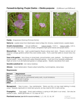 Farewell-to-Spring; Purple Clarkia – Clarkia purpurea

(CLARK-ee-uh purr-PURR-ee-uh)

Family: Onagraceae (Evening Primrose family)
Native to: coastal areas from Washington state to Baja CA; Arizona; coastal strand, coastal slopes
Annual wildflower
mature height: 4-24 in. mature width: 6-8 in.
Erect annual herbaceous plant with simple, elongated bright green leaves and purple stems.

Growth characteristics:

Blooms/fruits: Mar-July. Light purple/magenta flowers along erect stem. Flowers remind one of
Victorian cottage gardens (where they were widely used). Fruit a pod that splits to reveal many tiny
seeds.

Uses in the garden: Very showy in mixed beds, annual borders, pots, baskets. Cut flowers last
several weeks. Lovely mixed with yellow flowered species – truly one of our prettiest wildflowers.
Right at home in an old-fashioned garden or cottage garden. Readily naturalizes from seed.

Sensible substitute for: non-native Godetias
Attracts: Good habitat plant. Flowers attact butterflies, hummingbirds, native bees
Requirements:
Element
Sun
Soil
Water
Fertilizer
Other

Requirement

Full sun to semi-shade
Grows best on well-drained sandy soils; no pH limitations
Moist soil in spring
Low/none needed

Easy to grow – low maintenance. Stems are thin, so may need staking in windy
areas. Reseeds vigorously on moist bare ground, so may need to thin in early spring.

Management:

from seed: Direct seed outdoors in spring or fall (best in our area). Can also be
started in pots. Seeds germinate in 7-21 days at 70F.

Propagation:

Plant/seed sources (see list for source numbers): 1, 2, 10, 13, 16, 19

11/25/10
© Project SOUND

 