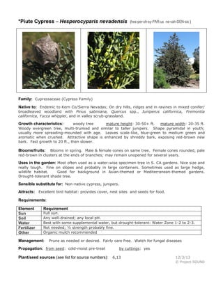 *Piute Cypress – Hesperocyparis nevadensis

(hes-per-oh-sy-PAR-us ne-vah-DEN-sis )

Family: Cupressaceae (Cypress Family)
Native to: Endemic to Kern Co/Sierra Nevadas; On dry hills, ridges and in ravines in mixed conifer/
broadleaved woodland with Pinus sabiniana, Quercus spp., Juniperus californica, Fremontia
californica, Yucca whipplei, and in valley scrub-grassland.
woody tree
mature height: 30-50+ ft.
mature width: 20-35 ft.
Woody evergreen tree, multi-trunked and similar to taller junipers. Shape pyramidal in youth;
usually more spreading-mounded with age. Leaves scale-like, blue-green to medium green and
aromatic when crushed. Attractive shape is enhanced by shreddy bark, exposing red-brown new
bark. Fast growth to 20 ft., then slower.

Growth characteristics:

Blooms in spring. Male & female cones on same tree. Female cones rounded, pale
red-brown in clusters at the ends of branches; may remain unopened for several years.

Blooms/fruits:

Uses in the garden: Most often used as a water-wise specimen tree in S. CA gardens. Nice size and
really tough. Fine on slopes and probably in large containers. Sometimes used as large hedge,
wildlife habitat.
Good for background in Asian-themed or Mediterranean-themed gardens.
Drought-tolerant shade tree.

Sensible substitute for: Non-native cypress, junipers.
Attracts: Excellent bird habitat: provides cover, nest sites and seeds for food.
Requirements:
Element
Sun
Soil
Water
Fertilizer
Other

Requirement

Full sun.
Any well-drained; any local pH.
Best with some supplemental water, but drought-tolerant: Water Zone 1-2 to 2-3.
Not needed; ½ strength probably fine.
Organic mulch recommended

Management:

Prune as needed or desired. Fairly care free. Watch for fungal diseases

Propagation: from seed: cold-moist pre-treat
Plant/seed sources (see list for source numbers):

by cuttings: yes
6,13

12/3/13
© Project SOUND

 