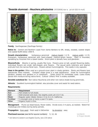 *Seaside alumroot – Heuchera pilosissima (HOY(HEW)-ker-a pil-oh-SIS-ih-muh)
Family: Saxifragaceae (Saxifrage Family)
Native to: Central and Northern coast from Santa Barbara to OR; shady, wooded, coastal slopes
and coastal bluffs below 1000 ft.
Growth characteristics: herbaceous perennial mature height: 1-2 ft. mature width: 1-2 ft.
Evergreen, herbaceous perennial with heart-shaped, medium-green leaves. Plant is mounded,
spreading by rhizomes from a basal rosette. Entire plant is densely hairy and glandular.
Blooms/fruits: Blooms in spring, usually Mar-June. Flowers grow on tall, upright flowering stalks.
Individual flowers are small, bell-shaped, pink flowers. The sexual parts (stamens and stigma)
protrude from the narrow floral neck. Flowers attract hummingbirds. Tine seeds in dry capsules.
Uses in the garden: Often used as a ground-cover plant in shady gardens. Plants and flowers look
spectacular when massed. Compact shape gives it a neat appearance. Great for hummingbird
gardens, shaded rock gardens or in containers. Great choice for immediate coast. Looks lovely
paired with moisture-loving native ferns. Cultivar ‘Lillians’ Pink’ is widely available.
Sensible substitute for: Non-native Heucheras and other non-native shade-loving perennials.
Attracts: Excellent hummingbird habitat: also provides cover and seeds for seed-eaters.
Requirements:
Element Requirement
Sun Part-shade to full shade.
Soil Well-drained soils best; like slightly acidic pH (5.0-7.0).
Water Regular water (Water Zones 2-3 to 3) in S. California.
Fertilizer ½ strength once or twice a year if in pots.
Other Organic mulch is fine.
Management: Prune out dead leaves, flower stalks. Divide every 3-4 years, as needed. Watch for
mealybugs and mildew during damp periods.
Propagation: from seed: fresh seed in fall/winter by divisions: easy
Plant/seed sources (see list for source numbers): 5, 12, 46 11/29/15
© Project SOUND
* not native to western Los Angeles County, but a CA native
 