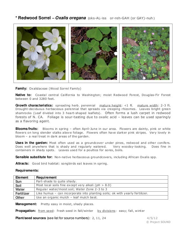 Gardening Sheet Oxalis Oregana