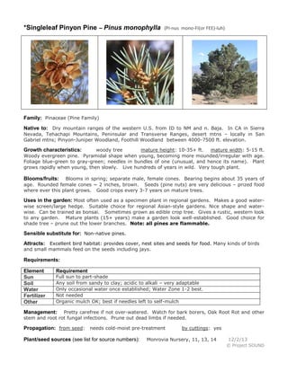 *Singleleaf Pinyon Pine – Pinus monophylla

(PI-nus mono-FI(or FEE)-luh)

Family: Pinaceae (Pine Family)
Native to: Dry mountain ranges of the western U.S. from ID to NM and n. Baja. In CA in Sierra
Nevada, Tehachapi Mountains, Peninsular and Transverse Ranges, desert mtns – locally in San
Gabriel mtns; Pinyon-Juniper Woodland, Foothill Woodland between 4000-7500 ft. elevation.
woody tree
mature height: 10-35+ ft.
mature width: 5-15 ft.
Woody evergreen pine. Pyramidal shape when young, becoming more mounded/irregular with age.
Foliage blue-green to gray-green; needles in bundles of one (unusual, and hence its name). Plant
grows rapidly when young, then slowly. Live hundreds of years in wild. Very tough plant.

Growth characteristics:

Blooms in spring; separate male, female cones. Bearing begins about 35 years of
age. Rounded female cones ~ 2 inches, brown. Seeds (pine nuts) are very delicious – prized food
where ever this plant grows. Good crops every 3-7 years on mature trees.

Blooms/fruits:

Uses in the garden: Most often used as a specimen plant in regional gardens. Makes a good waterwise screen/large hedge. Suitable choice for regional Asian-style gardens. Nice shape and waterwise. Can be trained as bonsai. Sometimes grown as edible crop tree. Gives a rustic, western look
to any garden. Mature plants (15+ years) make a garden look well-established. Good choice for
shade tree – prune out the lower branches. Note: all pines are flammable.

Sensible substitute for: Non-native pines.
Attracts: Excellent bird habitat: provides cover, nest sites and seeds for food. Many kinds of birds
and small mammals feed on the seeds including jays.

Requirements:
Element
Sun
Soil
Water
Fertilizer
Other

Requirement

Full sun to part-shade
Any soil from sandy to clay; acidic to alkali – very adaptable
Only occasional water once established; Water Zone 1-2 best.
Not needed
Organic mulch OK; best if needles left to self-mulch

Pretty carefree if not over-watered. Watch for bark borers, Oak Root Rot and other
stem and root rot fungal infections. Prune out dead limbs if needed.

Management:

Propagation: from seed: needs cold-moist pre-treatment
Plant/seed sources (see list for source numbers):

by cuttings: yes

Monrovia Nursery, 11, 13, 14

12/2/13
© Project SOUND

 