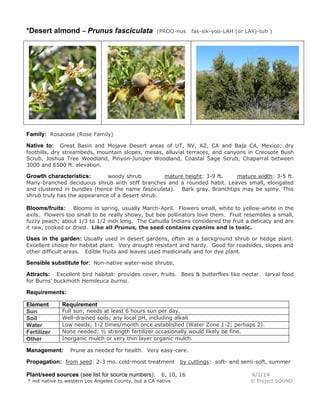 *Desert almond – Prunus fasciculata (PROO-nus fas-sik-yoo-LAH (or LAY)-tuh )
Family: Rosaceae (Rose Family)
Native to: Great Basin and Mojave Desert areas of UT, NV, AZ, CA and Baja CA, Mexico; dry
foothills, dry streambeds, mountain slopes, mesas, alluvial terraces, and canyons in Creosote Bush
Scrub, Joshua Tree Woodland, Pinyon-Juniper Woodland, Coastal Sage Scrub, Chaparral between
3000 and 6500 ft. elevation.
Growth characteristics: woody shrub mature height: 3-9 ft. mature width: 3-5 ft.
Many-branched deciduous shrub with stiff branches and a rounded habit. Leaves small, elongated
and clustered in bundles (hence the name fasciculata). Bark gray. Branchtips may be spiny. This
shrub truly has the appearance of a desert shrub.
Blooms/fruits: Blooms in spring, usually March-April. Flowers small, white to yellow-white in the
axils. Flowers too small to be really showy, but bee pollinators love them. Fruit resembles a small,
fuzzy peach; about 1/3 to 1/2 inch long. The Cahuilla Indians considered the fruit a delicacy and are
it raw, cooked or dried. Like all Prunus, the seed contains cyanins and is toxic.
Uses in the garden: Usually used in desert gardens, often as a background shrub or hedge plant.
Excellent choice for habitat plant. Very drought resistant and hardy. Good for roadsides, slopes and
other difficult areas. Edible fruits and leaves used medicinally and for dye plant.
Sensible substitute for: Non-native water-wise shrubs.
Attracts: Excellent bird habitat: provides cover, fruits. Bees & butterflies like nectar. larval food
for Burns' buckmoth Hemileuca burnsi.
Requirements:
Element Requirement
Sun Full sun; needs at least 6 hours sun per day.
Soil Well-drained soils; any local pH, including alkali
Water Low needs; 1-2 times/month once established (Water Zone 1-2; perhaps 2).
Fertilizer None needed; ½ strength fertilizer occasionally would likely be fine.
Other Inorganic mulch or very thin layer organic mulch.
Management: Prune as needed for health. Very easy-care.
Propagation: from seed: 2-3 mo. cold-moist treatment by cuttings: soft- and semi-soft, summer
Plant/seed sources (see list for source numbers): 6, 10, 16 4/1/14
* not native to western Los Angeles County, but a CA native © Project SOUND
 