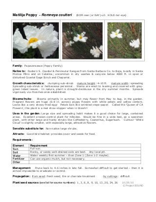 Matilija Poppy – Romneya coulteri

(ROM-nee (or NAY)-uh KOLE-ter-eye)

Family: Papaveraceae (Poppy Family)
Native to: Eastern S. Coastal & Peninsular Ranges from Santa Barbara Co. to Baja, locally in Santa

Monica Mtns and on Catalina; uncommon in dry washes & canyons below 4000 ft. in open or
disturbed Coastal Sage Scrub and Chaparral.
clumping sub-shrub mature height: 4-10 ft.
mature width: spreading
Spreading sub-shrub or herbaceous perennial . Stems are erect to leaning and covered with graygreen lobed leaves. In nature, plant is drought-deciduous in the dry summer months. Spreads
vigorously via rhizomes once established.

Growth characteristics:

Blooms primarily in summer, but may flower from May to Aug. in the garden.
Fragrant flowers are huge (6-8 in. across) poppy flowers with white petals and yellow centers.
Looks like a very showy fried egg! Petals look like wrinkled crepe-paper. Called the ‘Queen of CA
Flowers’, this plant is a real show stopper when in bloom!!

Blooms/fruits:

Uses in the garden: Large size and spreading habit makes it a good choice for large, contained
areas. Excellent erosion-control plant for hillsides. Would be fine in a wide bed, as a specimen
plant, with other large and hardy shrubs like Coffeeberry, Ceanothus, Sugarbush. Cultivar ‘White
Cloud’ is slightly smaller, with especially large, attractive flowers.

Sensible substitute for: Non-native large shrubs.
Attracts: Good bird habitat: provides cover and seeds for food.
Requirements:
Element
Sun
Soil
Water
Fertilizer
Other

Requirement

Full sun.
Rocky, or sandy well-drained soils are best. Any local pH.
Water weekly first summer – then Zone 1 (Zone 1-2 maybe).
Can use organic mulch, but not necessary.

Prune back to 4-6 inches in late fall. Somewhat difficult to get started – then it is
almost impossible to eradicate or control.

Management:

Propagation: from seed: fresh seed; fire or charrate treatment

by cuttings: difficult

Plant/seed sources (see list for source numbers): 1, 3, 6, 8, 9, 10, 13, 20, 24, 26

10/29/10
© Project SOUND

 