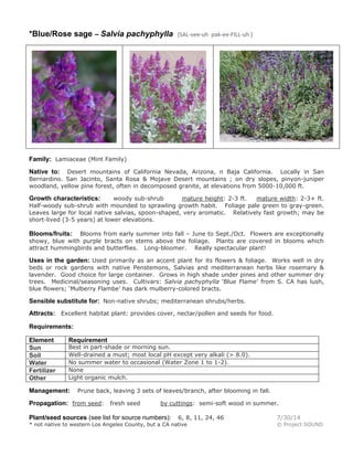 *Blue/Rose sage – Salvia pachyphylla (SAL-vee-uh pak-ee-FILL-uh )
Family: Lamiaceae (Mint Family)
Native to: Desert mountains of California Nevada, Arizona, n Baja California. Locally in San
Bernardino. San Jacinto, Santa Rosa & Mojave Desert mountains ; on dry slopes, pinyon-juniper
woodland, yellow pine forest, often in decomposed granite, at elevations from 5000-10,000 ft.
Growth characteristics: woody sub-shrub mature height: 2-3 ft. mature width: 2-3+ ft.
Half-woody sub-shrub with mounded to sprawling growth habit. Foliage pale green to gray-green.
Leaves large for local native salvias, spoon-shaped, very aromatic. Relatively fast growth; may be
short-lived (3-5 years) at lower elevations.
Blooms/fruits: Blooms from early summer into fall – June to Sept./Oct. Flowers are exceptionally
showy, blue with purple bracts on stems above the foliage. Plants are covered in blooms which
attract hummingbirds and butterflies. Long-bloomer. Really spectacular plant!
Uses in the garden: Used primarily as an accent plant for its flowers & foliage. Works well in dry
beds or rock gardens with native Penstemons, Salvias and mediterranean herbs like rosemary &
lavender. Good choice for large container. Grows in high shade under pines and other summer dry
trees. Medicinal/seasoning uses. Cultivars: Salvia pachyphylla ‘Blue Flame’ from S. CA has lush,
blue flowers; ‘Mulberry Flambe’ has dark mulberry-colored bracts.
Sensible substitute for: Non-native shrubs; mediterranean shrubs/herbs.
Attracts: Excellent habitat plant: provides cover, nectar/pollen and seeds for food.
Requirements:
Element Requirement
Sun Best in part-shade or morning sun.
Soil Well-drained a must; most local pH except very alkali (> 8.0).
Water No summer water to occasional (Water Zone 1 to 1-2).
Fertilizer None
Other Light organic mulch.
Management: Prune back, leaving 3 sets of leaves/branch, after blooming in fall.
Propagation: from seed: fresh seed by cuttings: semi-soft wood in summer.
Plant/seed sources (see list for source numbers): 6, 8, 11, 24, 46 7/30/14
* not native to western Los Angeles County, but a CA native © Project SOUND
 