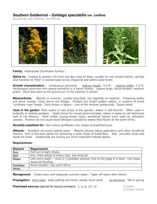 Southern Goldenrod – Solidago spectabilis var. confinis
(sol-i-DAY-go spec-TAB-ill-iss kon-FINE-iss)

Family: Asteraceae (Sunflower Family)
Native to: Coastal & western CA from the Bay area to Baja; usually on wet stream banks, springs
and marshes to 7500' in coastal sage scrub, chaparral and yellow pine forest.

herbaceous perennial
mature height: 3-5 ft.
mature width: 1-2 ft.
Herbaceous perennial with leaves primarily in a basal rosette. Leaves large, lance-shaped, medium
green. Plant dies back to the ground (or to the rosette) in winter.

Growth characteristics:

Blooms in summer, usually Aug-Sept, but depends on weather. Flowering stalks
are stout, woody, rising above the foliage. Flowers are bright golden yellow, in clusters of small
‘sunflower type’ heads. Very showy in bloom – one of the showier goldenrods. Seeds small.

Blooms/fruits:

Uses in the garden: Most useful in wet areas of the garden, where it will flourish. Often used in
butterfly or habitat gardens. Good choice for mixed perennial beds, where it lends on old-fashioned
look & cut flowers. Plant yields orange-brown dyes; powdered leaves were used as antiseptic
powder. Flowers do not cause nasal allergies (caused by weeds that bloom at the same time).

Sensible substitute for: Non-native sunflowers like yellow chrysanthemums.
Excellent all-round habitat plant. Blooms attract native pollinators and other beneficial
insects. One of the best plants for attracting a wide range of butterflies. Also provides cover and
seeds for birds. Goldenrods are among our more important habitat plants.

Attracts:

Requirements:
Element
Sun
Soil
Water
Fertilizer
Other

Requirement

Full sun to light shade,
Any, from sandy to heavy clay; any local pH
Like some water – Zone 2-3 probably optimal; fine at the edge of a lawn. Can takes
seasonal flooding.
None needed – but won’t kill it.

Management:

Pretty easy with adequate summer water. Taper off water after bloom.

Propagation: from seed: keep potting soil moist; barely cover seed
Plant/seed sources (see list for source numbers): 1, 6, 8, 10, 13

by divisions: fall or spring
11/2/09
© Project SOUND

 