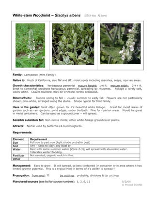 White-stem Woodmint – Stachys albens

(STAY-kiss AL-bens)

Family: Lamiaceae (Mint Family)
Native to: Much of California, also NV and UT; moist spots including marshes, seeps, riparian areas.
herbaceous perennial mature height: 1-4 ft. mature width: 2-4+ ft.
Erect to somewhat prostrate herbaceous perennial, spreading by rhizomes. Foliage a lovely soft,
wooly white. Leaves rounded, may be wrinkled, stress deciduous.

Growth characteristics:

Blooms spring to fall – usually summer to early fall. Flowers are not particularly
showy, pink-white, arranged along the stalks. Shape typical for Mint family.

Blooms/fruits:

Uses in the garden: Most often grown for it’s beautiful white foliage.

Great for moist areas of
garden such as rain gardens, pond edges, under birdbath. Fine for riparian areas. Would be great
in moist containers. Can be used as a groundcover – will spread.

Sensible substitute for: Non-native mints; other white-foliage groundcover plants.
Attracts: Nectar used by butterflies & hummingbirds.
Requirements:
Element
Sun
Soil
Water
Fertilizer
Other

Requirement

Full sun to part sun (light shade probably best)
Any – sand to clay; any local pH
Best with some summer water (Zone 2-3); will spread with abundant water.
Tolerates winter flooding.
Not needed; organic mulch is fine.

Easy to grow. It will spread, so best contained (in container or in area where it has
limited growth potential. This is a typical Mint in terms of it’s ability to spread!!

Management:

Propagation: from seed: ??

by cuttings: probably; divisions & tip cuttings

Plant/seed sources (see list for source numbers): 1, 3, 6, 12

9/2/08
© Project SOUND

 