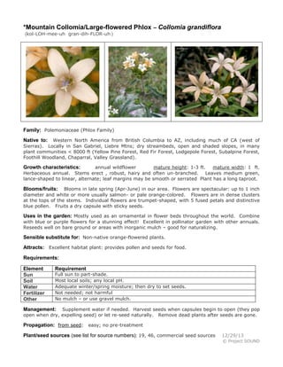 *Mountain Collomia/Large-flowered Phlox – Collomia grandiflora
(kol-LOH-mee-uh gran-dih-FLOR-uh )

Family: Polemoniaceae (Phlox Family)
Western North America from British Columbia to AZ, including much of CA (west of
Sierras). Locally in San Gabriel, Liebre Mtns; dry streambeds, open and shaded slopes, in many
plant communities < 8000 ft (Yellow Pine Forest, Red Fir Forest, Lodgepole Forest, Subalpine Forest,
Foothill Woodland, Chaparral, Valley Grassland).

Native to:

annual wildflower
mature height: 1-3 ft.
mature width: 1 ft.
Herbaceous annual. Stems erect , robust, hairy and often un-branched. Leaves medium green,
lance-shaped to linear, alternate; leaf margins may be smooth or serrated Plant has a long taproot.

Growth characteristics:

Blooms in late spring (Apr-June) in our area. Flowers are spectacular: up to 1 inch
diameter and white or more usually salmon- or pale orange-colored. Flowers are in dense clusters
at the tops of the stems. Individual flowers are trumpet-shaped, with 5 fused petals and distinctive
blue pollen. Fruits a dry capsule with sticky seeds.

Blooms/fruits:

Uses in the garden: Mostly used as an ornamental in flower beds throughout the world. Combine
with blue or purple flowers for a stunning effect! Excellent in pollinator garden with other annuals.
Reseeds well on bare ground or areas with inorganic mulch – good for naturalizing.

Sensible substitute for: Non-native orange-flowered plants.
Attracts: Excellent habitat plant: provides pollen and seeds for food.
Requirements:
Element
Sun
Soil
Water
Fertilizer
Other

Requirement

Full sun to part-shade.
Most local soils; any local pH.
Adequate winter/spring moisture; then dry to set seeds.
Not needed; not harmful
No mulch – or use gravel mulch.

Supplement water if needed. Harvest seeds when capsules begin to open (they pop
open when dry, expelling seed) or let re-seed naturally. Remove dead plants after seeds are gone.

Management:

Propagation: from seed: easy; no pre-treatment
Plant/seed sources (see list for source numbers): 19, 46, commercial seed sources

12/29/13
© Project SOUND

 