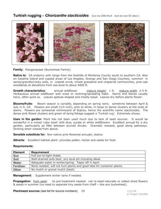 Turkish rugging – Chorizanthe stacticoides

(cor-ee-ZAN-thuh stat-ee-coe-EE-dees )

Family: Polygonaceae (Buckwheat Family)
Native to: CA endemic with range from the foothills of Monterey County south to southern CA. Also
on Catalina Island and coastal areas of Los Angeles, Orange and San Diego Counties; common in
sandy/gravelly/rocky soils, in coastal scrub, mixed grassland and chaparral communities, pine-oak
woodlands at elevations from sea level to about 4000 ft.
annual wildflower
mature height: 1 ft.
mature width: 2-5 ft.
Herbaceous annual wildflower with erect or reclining/spreading habit. Stems and leaves usually
hairy, often quite so. Leaves spatula-shaped and mostly basal. Leaves dry before plants flower.

Growth characteristics:

Bloom season is variable, depending on spring rains; sometime between April &
July in S. CA. Flowers are small (1/4 inch), pink to white, in loose to dense clusters at the ends of
stems. Flowers are somewhat reminiscent of Statice, hence the scientific name stacticoides. The
dense pink flower clusters and green of dying foliage suggest a ‘Turkish rug’. Extremely showy.

Blooms/fruits:

Uses in the garden: Plant has not been used much due to lack of seed sources.

It would be
wonderful in a mixed ‘color bowl’ with blue, purple or white wildflowers. Excellent annual for a dry
garden, particularly as filler between pruned shrubs. Dramatic massed; good along pathways.
Striking when viewed from above.

Sensible substitute for: Non-native pink-flowered annuals; statice
Attracts: Excellent habitat plant: provides pollen, nectar and seeds for food.
Requirements:
Element
Sun
Soil
Water
Fertilizer
Other

Requirement

Full sun to light shade.
Well-drained soils best; any local pH including alkali.
Adequate water in winter/spring. Taper off in April.
None needed; will not hurt plants and good idea for container plants.
No mulch or gravel mulch (best).

Management:

Supplement winter rains if needed.

Propagation: from seed:

no pre-treatment needed. Let re-seed naturally or collect dried flowers
& seeds in summer (no need to separate tiny seeds from chaff – like any buckwheat).

Plant/seed sources (see list for source numbers):

19

1/1/14
© Project SOUND

 