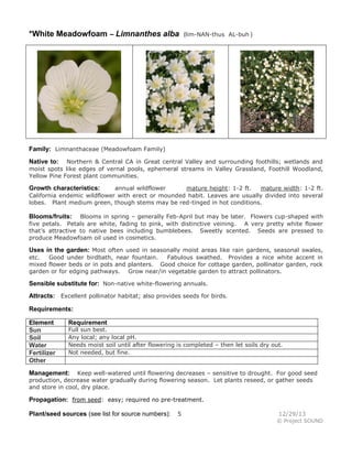 *White Meadowfoam – Limnanthes alba

(lim-NAN-thus AL-buh )

Family: Limnanthaceae (Meadowfoam Family)
Northern & Central CA in Great central Valley and surrounding foothills; wetlands and
moist spots like edges of vernal pools, ephemeral streams in Valley Grassland, Foothill Woodland,
Yellow Pine Forest plant communities.

Native to:

annual wildflower
mature height: 1-2 ft.
mature width: 1-2 ft.
California endemic wildflower with erect or mounded habit. Leaves are usually divided into several
lobes. Plant medium green, though stems may be red-tinged in hot conditions.

Growth characteristics:

Blooms in spring – generally Feb-April but may be later. Flowers cup-shaped with
five petals. Petals are white, fading to pink, with distinctive veining. A very pretty white flower
that’s attractive to native bees including bumblebees. Sweetly scented. Seeds are pressed to
produce Meadowfoam oil used in cosmetics.

Blooms/fruits:

Uses in the garden: Most often used in seasonally moist areas like rain gardens, seasonal swales,
etc.
Good under birdbath, near fountain.
Fabulous swathed. Provides a nice white accent in
mixed flower beds or in pots and planters. Good choice for cottage garden, pollinator garden, rock
garden or for edging pathways. Grow near/in vegetable garden to attract pollinators.

Sensible substitute for: Non-native white-flowering annuals.
Attracts: Excellent pollinator habitat; also provides seeds for birds.
Requirements:
Element
Sun
Soil
Water
Fertilizer
Other

Requirement

Full sun best.
Any local; any local pH.
Needs moist soil until after flowering is completed – then let soils dry out.
Not needed, but fine.

Keep well-watered until flowering decreases – sensitive to drought. For good seed
production, decrease water gradually during flowering season. Let plants reseed, or gather seeds
and store in cool, dry place.

Management:

Propagation: from seed: easy; required no pre-treatment.
Plant/seed sources (see list for source numbers):

5

12/29/13
© Project SOUND

 