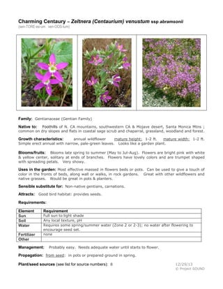 Charming Centaury – Zeltnera (Centaurium) venustum ssp abramsonii
(sen-TORE-ee-um ven-OOS-tum)

Family: Gentianaceae (Gentian Family)
Foothills of N. CA mountains, southwestern CA & Mojave desert, Santa Monica Mtns ;
common on dry slopes and flats in coastal sage scrub and chaparral, grassland, woodland and forest.

Native to:

annual wildflower
mature height: 1-2 ft.
mature width: 1-2 ft.
Simple erect annual with narrow, pale-green leaves. Looks like a garden plant.

Growth characteristics:

Blooms late spring to summer (May to Jul-Aug). Flowers are bright pink with white
& yellow center, solitary at ends of branches. Flowers have lovely colors and are trumpet shaped
with spreading petals. Very showy.

Blooms/fruits:

Uses in the garden: Most effective massed in flowers beds or pots. Can be used to give a touch of
color in the fronts of beds, along wall or walks, in rock gardens.
native grasses. Would be great in pots & planters.

Great with other wildflowers and

Sensible substitute for: Non-native gentians, carnations.
Attracts: Good bird habitat: provides seeds.
Requirements:
Element
Sun
Soil
Water
Fertilizer
Other

Requirement

Full sun to light shade
Any local texture, pH
Requires some spring/summer water (Zone 2 or 2-3); no water after flowering to
encourage seed set.
none

Management:

Probably easy. Needs adequate water until starts to flower.

Propagation: from seed: in pots or prepared ground in spring.
Plant/seed sources (see list for source numbers): 8

12/29/13
© Project SOUND

 
