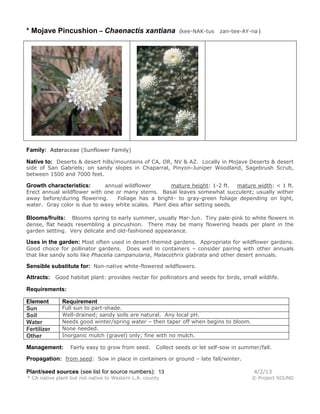 * Mojave Pincushion – Chaenactis xantiana                     (kee-NAK-tus zan-tee-AY-na )




Family: Asteraceae (Sunflower Family)

Native to: Deserts & desert hills/mountains of CA, OR, NV & AZ. Locally in Mojave Deserts & desert
side of San Gabriels; on sandy slopes in Chaparral, Pinyon-Juniper Woodland, Sagebrush Scrub,
between 1500 and 7000 feet.

Growth characteristics:      annual wildflower        mature height: 1-2 ft. mature width: < 1 ft.
Erect annual wildflower with one or many stems. Basal leaves somewhat succulent; usually wither
away before/during flowering.    Foliage has a bright- to gray-green foliage depending on light,
water. Gray color is due to waxy white scales. Plant dies after setting seeds.

Blooms/fruits:   Blooms spring to early summer, usually Mar-Jun. Tiny pale-pink to white flowers in
dense, flat heads resembling a pincushion. There may be many flowering heads per plant in the
garden setting. Very delicate and old-fashioned appearance.

Uses in the garden: Most often used in desert-themed gardens. Appropriate for wildflower gardens.
Good choice for pollinator gardens. Does well in containers – consider pairing with other annuals
that like sandy soils like Phacelia campanularia, Malacothrix glabrata and other desert annuals.

Sensible substitute for: Non-native white-flowered wildflowers.
Attracts: Good habitat plant: provides nectar for pollinators and seeds for birds, small wildlife.

Requirements:

Element       Requirement
Sun           Full sun to part-shade.
Soil          Well-drained; sandy soils are natural. Any local pH.
Water         Needs good winter/spring water – then taper off when begins to bloom.
Fertilizer    None needed.
Other         Inorganic mulch (gravel) only; fine with no mulch.

Management:      Fairly easy to grow from seed.      Collect seeds or let self-sow in summer/fall.

Propagation: from seed: Sow in place in containers or ground – late fall/winter.

Plant/seed sources (see list for source numbers): 13                                       4/2/13
* CA native plant but not native to Western L.A. county                                   © Project SOUND
 