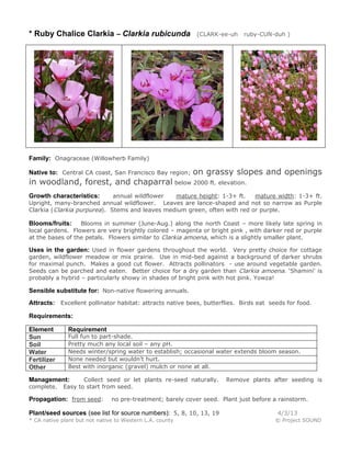 * Ruby Chalice Clarkia – Clarkia rubicunda                  (CLARK-ee-uh    ruby-CUN-duh )




Family: Onagraceae (Willowherb Family)

Native to: Central CA coast, San Francisco Bay region;    on grassy slopes and openings
in woodland, forest, and chaparral below 2000 ft. elevation.
Growth characteristics:      annual wildflower  mature height: 1-3+ ft.    mature width: 1-3+ ft.
Upright, many-branched annual wildflower. Leaves are lance-shaped and not so narrow as Purple
Clarkia (Clarkia purpurea). Stems and leaves medium green, often with red or purple.

Blooms/fruits:    Blooms in summer (June-Aug.) along the north Coast – more likely late spring in
local gardens. Flowers are very brightly colored – magenta or bright pink , with darker red or purple
at the bases of the petals. Flowers similar to Clarkia amoena, which is a slightly smaller plant.

Uses in the garden: Used in flower gardens throughout the world. Very pretty choice for cottage
garden, wildflower meadow or mix prairie. Use in mid-bed against a background of darker shrubs
for maximal punch. Makes a good cut flower. Attracts pollinators - use around vegetable garden.
Seeds can be parched and eaten. Better choice for a dry garden than Clarkia amoena. ‘Shamini’ is
probably a hybrid – particularly showy in shades of bright pink with hot pink. Yowza!

Sensible substitute for: Non-native flowering annuals.
Attracts: Excellent pollinator habitat: attracts native bees, butterflies. Birds eat seeds for food.

Requirements:

Element       Requirement
Sun           Full fun to part-shade.
Soil          Pretty much any local soil – any pH.
Water         Needs winter/spring water to establish; occasional water extends bloom season.
Fertilizer    None needed but wouldn’t hurt.
Other         Best with inorganic (gravel) mulch or none at all.

Management:         Collect seed or let plants re-seed naturally.     Remove plants after seeding is
complete.    Easy to start from seed.

Propagation: from seed:        no pre-treatment; barely cover seed. Plant just before a rainstorm.

Plant/seed sources (see list for source numbers): 5, 8, 10, 13, 19                     4/3/13
* CA native plant but not native to Western L.A. county                                © Project SOUND
 