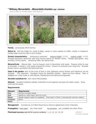 * Willowy Monardella – Monardella linoides ssp. viminea
(mon-ar-DEL-la lie-NO-i-dees vim-IN-ee-a)
Family: Lamiaaceae (Mint Family)
Native to: SW San Diego Co. south to Baja; sandy or rocky washes to 1000', mostly in chaparral,
coastal sage scrub but also in pine forests.
Growth characteristics: herbaceous perennial mature height: 1-2 ft. mature width: 1-3 ft.
Drought-deciduous perennial with long narrow leaves on slender stems. Foliage gray-green, very
aromatic (minty scent). Sprawling habit, but dainty look.
Blooms/fruits: Blooms late - June to August, even to November with water. Flowers white to rose
or lavender, in dense 1 inch heads (typical for mints). Flowers in profusion over long time. Scented
flowers have a wonderful old-fashioned look.
Uses in the garden: Nice at the front of bed or near pathways where flowers and fragrance can be
enjoyed. Fire retardant. Excellent choice for Butterfly Garden. Make tea from leaves. Nice in
dappled sun under trees or with Salvias, Penstemons and native bunchgrasses.
Sensible substitute for: Non-native Monardellas.
Attracts: Excellent butterfly habitat: butterflies hummingbirds and bees all collect nectar. Song
birds eat the seeds.
Requirements:
Element Requirement
Sun Full sun to light shade.
Soil Sandy or rocky best; pH 6.5 to 8.0
Water Needs regular water to establish. Then best in Zone 2 (occasional summer water).
Fertilizer None.
Other
Management: Cut back by 1/3 after flowering to improve appearance (only if desired).
Propagation: from seed: yes, fresh seed by divisions: yes; probably like other Mints.
Plant/seed sources (see list for source numbers): 1, 8, 13, 14, 19, 24 3/29/17
© Project SOUND
 