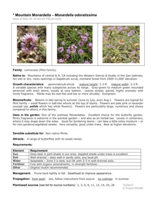 * Mountain Monardella – Monardella odoratissima
(mon-ar-DELL-uh oh-dor-uh-TISS-ee-muh)
Family: Lamiaceae (Mint Family)
Native to: Mountains of central & N. CA including the Western Sierras & locally in the San Gabriels;
Sin wet or dry, rocky openings in Sagebrush scrub, montane forest from 2000-11,000' elevation.
Growth characteristics: perennial/sub-shrub mature height: 1-3 ft. mature width: 2-3 ft.
A variable species with many subspecies across its range. Gray-green to medium green mounded
perennial with erect stems, woody at very bottom. Leaves simple, paired, highly aromatic with
minty fragrance. Plants may be mat-like and low or more shrubby. Evergreen.
Blooms/fruits: Blooms in late spring to summer (June to July, even Aug.). Flowers are typical for
Mint family – small flowers in ball-like whorls at the top of stems. Flowers are pale pink or lavender
(except ssp. pallida which has white flowers). Flowers are particularly large, numerous and showy
compared to others in this family.
Uses in the garden: One of the prettiest Monardellas. Excellent choice for the butterfly garden.
Minty fragrance is welcome in the scented garden – and also as an herbal tea. Lovely in containers,
where it may drape down the sides. Good for bordering lawns – can take a little extra moisture – or
for rain gardens/vegetated swales. Very versatile; good under trees. Best at higher elevations.
Sensible substitute for: Non-native Mints.
Attracts: A range of butterflies with its sweet nectar.
Requirements:
Element Requirement
Sun Does best in part-shade in our area; dappled shade under trees is excellent.
Soil Well-drained – does well in sandy soils; any local pH
Water Adaptable – Zone 2 is best, but OK with 2-3 in well-drained soils.
Fertilizer Fine with organic amendments, ½ strength fertilizer.
Other Organic mulch recommended.
Management: Prune back lightly in fall. Deadhead to improve appearance.
Propagation: from seed: yes; follow instructions from source by cuttings: in summer
Plant/seed sources (see list for source numbers): 1, 3, 6, 8, 11, 13, 14, 24, 28 3/29/17
© Project SOUND
 
