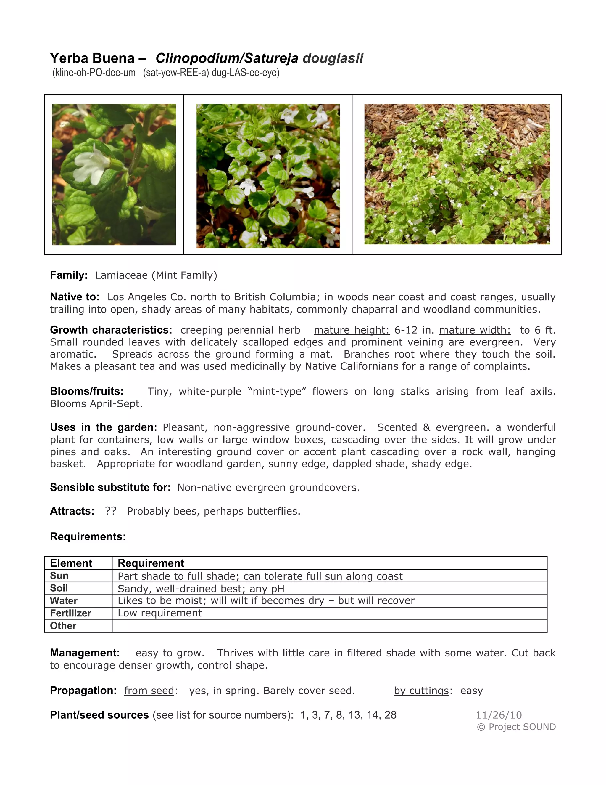 Yerba Buena – Clinopodium/Satureja douglasii 
(kline-oh-PO-dee-um (sat-yew-REE-a) dug-LAS-ee-eye) 
Family: Lamiaceae (Mint Family) 
Native to: Los Angeles Co. north to British Columbia; in woods near coast and coast ranges, usually trailing into open, shady areas of many habitats, commonly chaparral and woodland communities. 
Growth characteristics: creeping perennial herb mature height: 6-12 in. mature width: to 6 ft. Small rounded leaves with delicately scalloped edges and prominent veining are evergreen. Very aromatic. Spreads across the ground forming a mat. Branches root where they touch the soil. Makes a pleasant tea and was used medicinally by Native Californians for a range of complaints. 
Blooms/fruits: Tiny, white-purple “mint-type” flowers on long stalks arising from leaf axils. Blooms April-Sept. 
Uses in the garden: Pleasant, non-aggressive ground-cover. Scented & evergreen. a wonderful plant for containers, low walls or large window boxes, cascading over the sides. It will grow under pines and oaks. An interesting ground cover or accent plant cascading over a rock wall, hanging basket. Appropriate for woodland garden, sunny edge, dappled shade, shady edge. 
Sensible substitute for: Non-native evergreen groundcovers. 
Attracts: ?? Probably bees, perhaps butterflies. 
Requirements: 
Element 
Requirement 
Sun 
Part shade to full shade; can tolerate full sun along coast 
Soil 
Sandy, well-drained best; any pH 
Water 
Likes to be moist; will wilt if becomes dry – but will recover 
Fertilizer 
Low requirement 
Other 
Management: easy to grow. Thrives with little care in filtered shade with some water. Cut back to encourage denser growth, control shape. 
Propagation: from seed: yes, in spring. Barely cover seed. by cuttings: easy 
Plant/seed sources (see list for source numbers): 1, 3, 7, 8, 13, 14, 28 11/26/10 
© Project SOUND  
