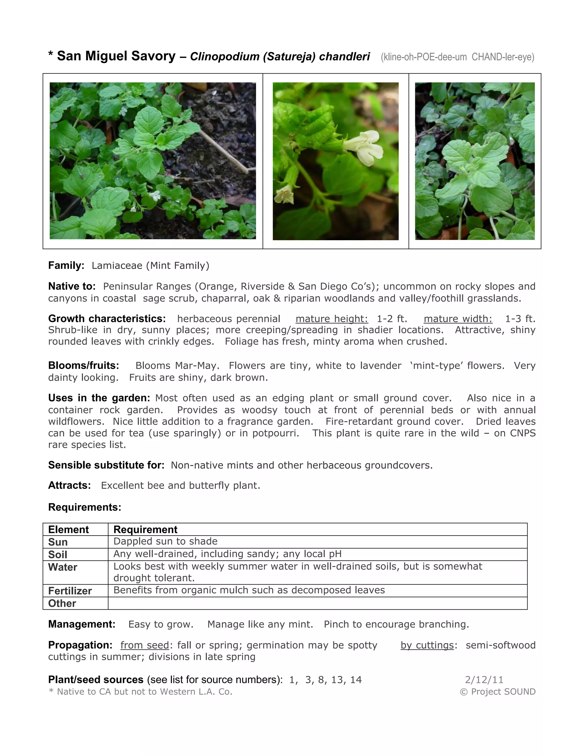 * San Miguel Savory – Clinopodium (Satureja) chandleri (kline-oh-POE-dee-um CHAND-ler-eye) 
Family: Lamiaceae (Mint Family) 
Native to: Peninsular Ranges (Orange, Riverside & San Diego Co’s); uncommon on rocky slopes and canyons in coastal sage scrub, chaparral, oak & riparian woodlands and valley/foothill grasslands. 
Growth characteristics: herbaceous perennial mature height: 1-2 ft. mature width: 1-3 ft. Shrub-like in dry, sunny places; more creeping/spreading in shadier locations. Attractive, shiny rounded leaves with crinkly edges. Foliage has fresh, minty aroma when crushed. 
Blooms/fruits: Blooms Mar-May. Flowers are tiny, white to lavender ‘mint-type’ flowers. Very dainty looking. Fruits are shiny, dark brown. 
Uses in the garden: Most often used as an edging plant or small ground cover. Also nice in a container rock garden. Provides as woodsy touch at front of perennial beds or with annual wildflowers. Nice little addition to a fragrance garden. Fire-retardant ground cover. Dried leaves can be used for tea (use sparingly) or in potpourri. This plant is quite rare in the wild – on CNPS rare species list. 
Sensible substitute for: Non-native mints and other herbaceous groundcovers. 
Attracts: Excellent bee and butterfly plant. 
Requirements: 
Element 
Requirement 
Sun 
Dappled sun to shade 
Soil 
Any well-drained, including sandy; any local pH 
Water 
Looks best with weekly summer water in well-drained soils, but is somewhat drought tolerant. 
Fertilizer 
Benefits from organic mulch such as decomposed leaves 
Other 
Management: Easy to grow. Manage like any mint. Pinch to encourage branching. 
Propagation: from seed: fall or spring; germination may be spotty by cuttings: semi-softwood cuttings in summer; divisions in late spring 
Plant/seed sources (see list for source numbers): 1, 3, 8, 13, 14 2/12/11 
* Native to CA but not to Western L.A. Co. © Project SOUND 
 