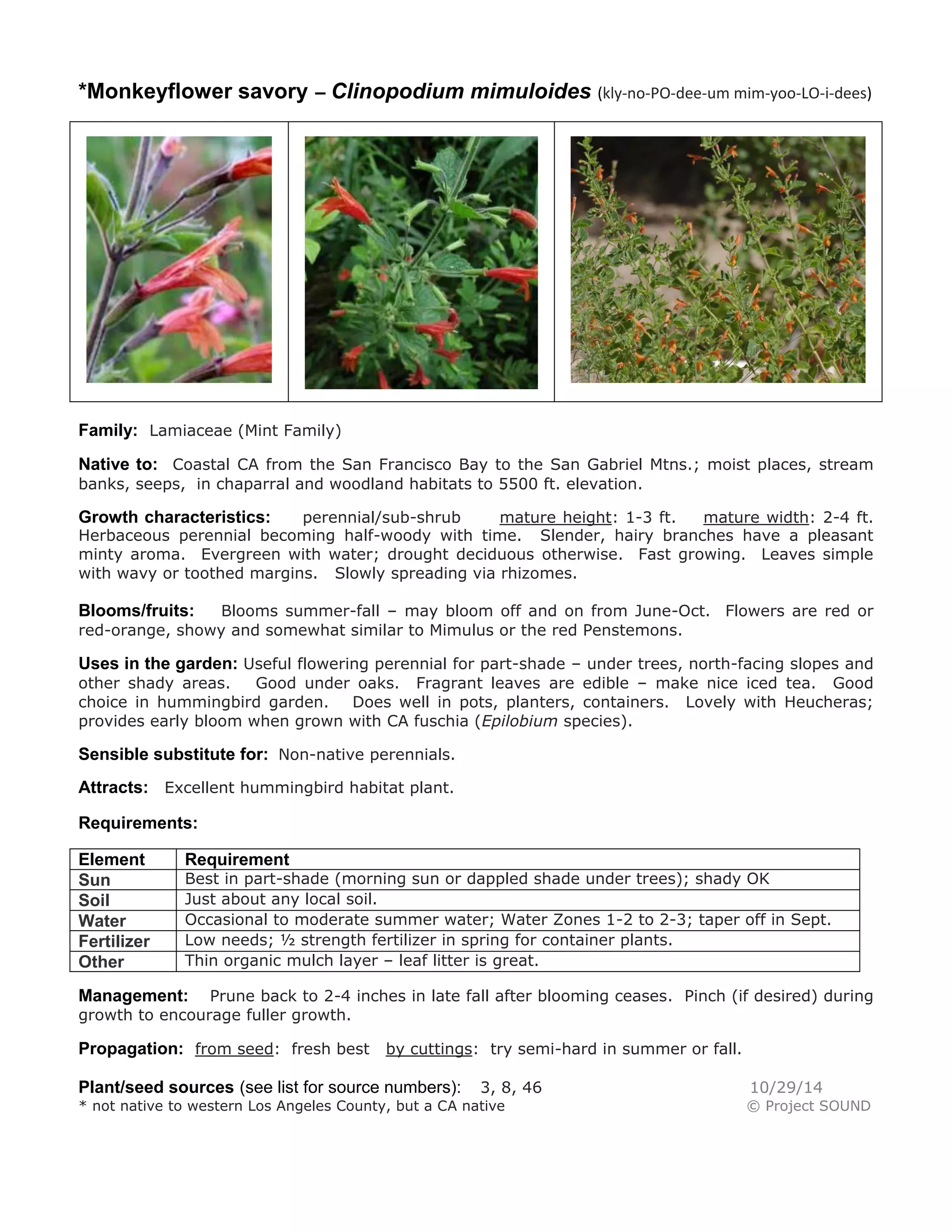*Monkeyflower savory – Clinopodium mimuloides (kly-no-PO-dee-um mim-yoo-LO-i-dees) 
Family: Lamiaceae (Mint Family) 
Native to: Coastal CA from the San Francisco Bay to the San Gabriel Mtns.; moist places, stream banks, seeps, in chaparral and woodland habitats to 5500 ft. elevation. 
Growth characteristics: perennial/sub-shrub mature height: 1-3 ft. mature width: 2-4 ft. Herbaceous perennial becoming half-woody with time. Slender, hairy branches have a pleasant minty aroma. Evergreen with water; drought deciduous otherwise. Fast growing. Leaves simple with wavy or toothed margins. Slowly spreading via rhizomes. 
Blooms/fruits: Blooms summer-fall – may bloom off and on from June-Oct. Flowers are red or red-orange, showy and somewhat similar to Mimulus or the red Penstemons. 
Uses in the garden: Useful flowering perennial for part-shade – under trees, north-facing slopes and other shady areas. Good under oaks. Fragrant leaves are edible – make nice iced tea. Good choice in hummingbird garden. Does well in pots, planters, containers. Lovely with Heucheras; provides early bloom when grown with CA fuschia (Epilobium species). 
Sensible substitute for: Non-native perennials. 
Attracts: Excellent hummingbird habitat plant. 
Requirements: 
Element 
Requirement 
Sun 
Best in part-shade (morning sun or dappled shade under trees); shady OK 
Soil 
Just about any local soil. 
Water 
Occasional to moderate summer water; Water Zones 1-2 to 2-3; taper off in Sept. 
Fertilizer 
Low needs; ½ strength fertilizer in spring for container plants. 
Other 
Thin organic mulch layer – leaf litter is great. 
Management: Prune back to 2-4 inches in late fall after blooming ceases. Pinch (if desired) during growth to encourage fuller growth. 
Propagation: from seed: fresh best by cuttings: try semi-hard in summer or fall. 
Plant/seed sources (see list for source numbers): 3, 8, 46 10/29/14 
* not native to western Los Angeles County, but a CA native © Project SOUND 
 