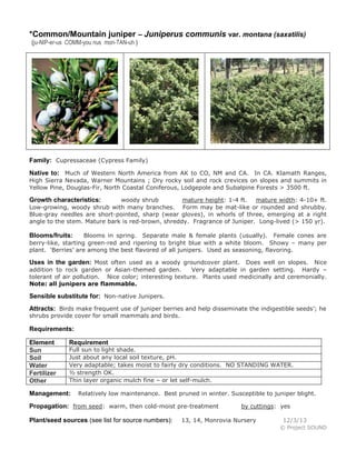 *Common/Mountain juniper – Juniperus communis var. montana (saxatilis)
(ju-NIP-er-us COMM-you nus mon-TAN-uh )

Family: Cupressaceae (Cypress Family)
Native to: Much of Western North America from AK to CO, NM and CA. In CA. Klamath Ranges,
High Sierra Nevada, Warner Mountains ; Dry rocky soil and rock crevices on slopes and summits in
Yellow Pine, Douglas-Fir, North Coastal Coniferous, Lodgepole and Subalpine Forests > 3500 ft.
woody shrub
mature height: 1-4 ft. mature width: 4-10+ ft.
Low-growing, woody shrub with many branches. Form may be mat-like or rounded and shrubby.
Blue-gray needles are short-pointed, sharp (wear gloves), in whorls of three, emerging at a right
angle to the stem. Mature bark is red-brown, shreddy. Fragrance of Juniper. Long-lived (> 150 yr).

Growth characteristics:

Blooms in spring. Separate male & female plants (usually). Female cones are
berry-like, starting green-red and ripening to bright blue with a white bloom. Showy – many per
plant. ‘Berries’ are among the best flavored of all junipers. Used as seasoning, flavoring.

Blooms/fruits:

Uses in the garden: Most often used as a woody groundcover plant. Does well on slopes. Nice
addition to rock garden or Asian-themed garden.
Very adaptable in garden setting. Hardy –
tolerant of air pollution. Nice color; interesting texture. Plants used medicinally and ceremonially.
Note: all junipers are flammable.

Sensible substitute for: Non-native Junipers.
Attracts: Birds make frequent use of juniper berries and help disseminate the indigestible seeds’; he
shrubs provide cover for small mammals and birds.

Requirements:
Element
Sun
Soil
Water
Fertilizer
Other

Requirement

Full sun to light shade.
Just about any local soil texture, pH.
Very adaptable; takes moist to fairly dry conditions. NO STANDING WATER.
½ strength OK.
Thin layer organic mulch fine – or let self-mulch.

Management:

Relatively low maintenance. Best pruned in winter. Susceptible to juniper blight.

Propagation: from seed: warm, then cold-moist pre-treatment
Plant/seed sources (see list for source numbers):

by cuttings: yes

13, 14, Monrovia Nursery

12/3/13
© Project SOUND

 