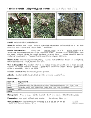 * Tecate Cypress – Hesperocyparis forbesii

(hes-per-oh-SIP-ar-is FORBS-ee-eye)

Family: Cupressaceae (Cypress Family)
Native to: Foothills from Orange County to Baja (there are only four natural groves left in CA); most
commonly on dry, chaparral & canyon slopes; 1500-5000 ft.

woody tree
mature height: 10-30 ft.
mature width: 6-8 ft.
Woody tree that grows quickly to 10-15 ft, then more slowly. Shrubby looking with rounded crown
and usually multiple trunks. Bark peels to reveal red under bark.
Leaves typical for cypress,
medium green, attractive. Trees can live to several hundred years old in wild.

Growth characteristics:

Blooms are particularly showy. Separate male and female flowers (on same plant);
female develops into a tough, rounded seed cone.

Blooms/fruits:

Uses in the garden: Any situation where a non-native Cypress or upright Juniper might be used.
Excellent for erosion control on hillsides. A good choice for smaller gardens. Makes a good hedge,
screen or windbreak. Plant is fire prone.

Sensible substitute for: Non-native cypress & junipers.
Attracts: Excellent bird & lizard habitat: provides cover and seeds for food.
Requirements:
Element
Sun
Soil
Water
Fertilizer
Other

Requirement

Full sun.
Quite adaptable, but prefers well-drained. Can take mildly acid (to 5.0 pH) soils.
Low water needs once established – best with Zone 1 or 1-2 (inland)
None

Management:

Prune to shape – can be sheared.

Propagation: from seed: difficult; cold-stratify

Don’t over-water.

Other than that, easy.

by cuttings: likely yes

Plant/seed sources (see list for source numbers): 1, 6, 8, 11, 13, 14, 20, 24

12/2/13

* Native to CA but not to Western L.A. Co.

© Project SOUND

 