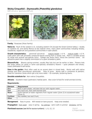 Sticky Cinquefoil – Drymocallis (Potentilla) glandulosa
(DRY-mo-cal-us gland-you-LOW-suh)
Family: Rosaceae (Rose Family)
Native to: Much of the western U.S. including western CA (except the Great Central Valley) – locally
on Catalina Isl. and Santa Monica & San Gabriel mtns; many plant communities including forests,
woodlands, sagebrush and grassland communities in open places.
Growth characteristics: perennial sub-shrub mature height: 1-2 ft. mature width: 1-2 ft.
Leafy plant with soft pinnately compound leaves arising from a woody root. Plant is variable across
its range and several sub-species occur. Foliage has sticky hairs, hence the common name. An
attractive plant that is slightly reminiscent of a giant strawberry plant.
Blooms/fruits: Blooms spring-summer, usually May-July but can be earlier or later. Flowers look
like large yellow (or white in some sub-species) strawberry flowers – quite pleasant and showy.
Insect pollinated & self-fertile.
Uses in the garden: Most often used as an accent plant in mixed beds. Works well with native
grasses and other groundcover perennials. Easy to grow. Works well in containers & planters.
Good for transition zones which get a bit more water – for example, bordering lawns.
Sensible substitute for: Non-native Cinquefoils.
Attracts: Excellent insect (pollinator) habitat plant. Also cover & food for small animals & birds.
Requirements:
Element Requirement
Sun Best in part-shade; will take full sun with regular water.
Soil Any local soil; likes well-drained soils
Water Quite tolerant of water regimens from regular water (Zone 3) to occasional water
(Zone 2).
Fertilizer Not needed, but won’t hurt.
Other
Management: Easy to grow. Will reseed on bare ground. Keep area weeded.
Propagation: from seed: easy in spring by cuttings: sem1-soft in summer divisions: spring
Plant/seed sources (see list for source numbers): 1, 6, 12, 13 7/1/17
© Project SOUND
 