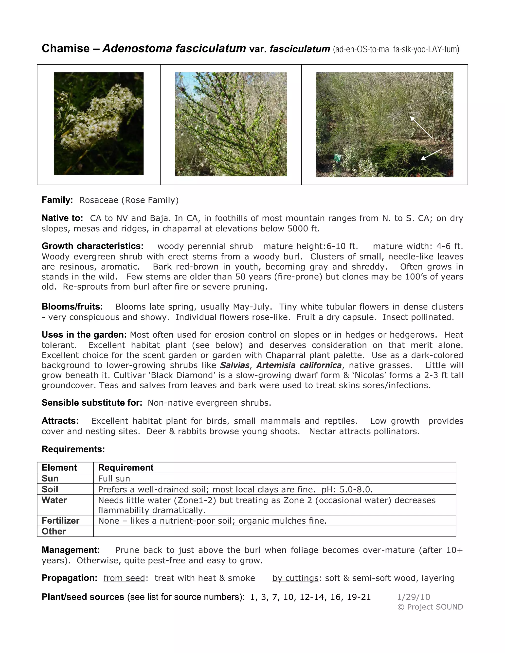 Gardening sheets evergreen shrubs | PDF