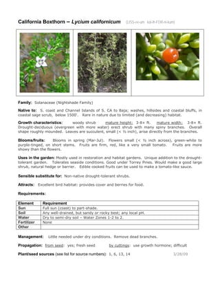 California Boxthorn – Lycium californicum (LISS-ee-um kal-ih-FOR-ni-kum)
Family: Solanaceae (Nightshade Family)
Native to: S. coast and Channel Islands of S. CA to Baja; washes, hillsides and coastal bluffs, in
coastal sage scrub, below 1500'. Rare in nature due to limited (and decreasing) habitat.
Growth characteristics: woody shrub mature height: 3-8+ ft. mature width: 3-8+ ft.
Drought-deciduous (evergreen with more water) erect shrub with many spiny branches. Overall
shape roughly mounded. Leaves are succulent, small (< ½ inch), arise directly from the branches.
Blooms/fruits: Blooms in spring (Mar-Jul). Flowers small (< ½ inch across), green-white to
purple-tinged, on short stems. Fruits are firm, red, like a very small tomato. Fruits are more
showy than the flowers.
Uses in the garden: Mostly used in restoration and habitat gardens. Unique addition to the drought-
tolerant garden. Tolerates seaside conditions. Good under Torrey Pines. Would make a good large
shrub, natural hedge or barrier. Edible cooked fruits can be used to make a tomato-like sauce.
Sensible substitute for: Non-native drought-tolerant shrubs.
Attracts: Excellent bird habitat: provides cover and berries for food.
Requirements:
Element Requirement
Sun Full sun (coast) to part-shade.
Soil Any well-drained, but sandy or rocky best; any local pH.
Water Dry to semi-dry soil – Water Zones 1-2 to 2.
Fertilizer None
Other
Management: Little needed under dry conditions. Remove dead branches.
Propagation: from seed: yes; fresh seed by cuttings: use growth hormone; difficult
Plant/seed sources (see list for source numbers): 1, 6, 13, 14 3/28/09
 