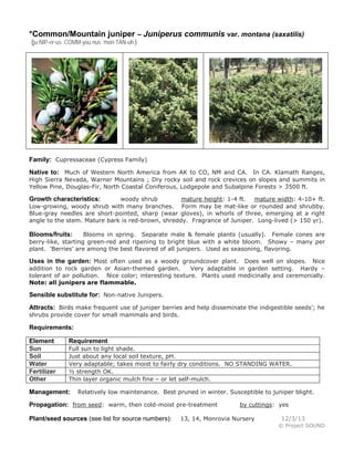*Common/Mountain juniper – Juniperus communis var. montana (saxatilis)
(ju-NIP-er-us COMM-you nus mon-TAN-uh )
Family: Cupressaceae (Cypress Family)
Native to: Much of Western North America from AK to CO, NM and CA. In CA. Klamath Ranges,
High Sierra Nevada, Warner Mountains ; Dry rocky soil and rock crevices on slopes and summits in
Yellow Pine, Douglas-Fir, North Coastal Coniferous, Lodgepole and Subalpine Forests > 3500 ft.
Growth characteristics: woody shrub mature height: 1-4 ft. mature width: 4-10+ ft.
Low-growing, woody shrub with many branches. Form may be mat-like or rounded and shrubby.
Blue-gray needles are short-pointed, sharp (wear gloves), in whorls of three, emerging at a right
angle to the stem. Mature bark is red-brown, shreddy. Fragrance of Juniper. Long-lived (> 150 yr).
Blooms/fruits: Blooms in spring. Separate male & female plants (usually). Female cones are
berry-like, starting green-red and ripening to bright blue with a white bloom. Showy – many per
plant. ‘Berries’ are among the best flavored of all junipers. Used as seasoning, flavoring.
Uses in the garden: Most often used as a woody groundcover plant. Does well on slopes. Nice
addition to rock garden or Asian-themed garden. Very adaptable in garden setting. Hardy –
tolerant of air pollution. Nice color; interesting texture. Plants used medicinally and ceremonially.
Note: all junipers are flammable.
Sensible substitute for: Non-native Junipers.
Attracts: Birds make frequent use of juniper berries and help disseminate the indigestible seeds’; he
shrubs provide cover for small mammals and birds.
Requirements:
Element Requirement
Sun Full sun to light shade.
Soil Just about any local soil texture, pH.
Water Very adaptable; takes moist to fairly dry conditions. NO STANDING WATER.
Fertilizer ½ strength OK.
Other Thin layer organic mulch fine – or let self-mulch.
Management: Relatively low maintenance. Best pruned in winter. Susceptible to juniper blight.
Propagation: from seed: warm, then cold-moist pre-treatment by cuttings: yes
Plant/seed sources (see list for source numbers): 13, 14, Monrovia Nursery 12/3/13
© Project SOUND
 