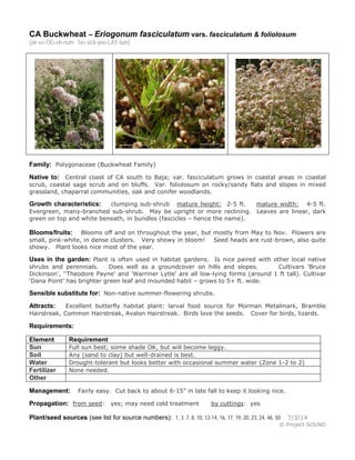 CA Buckwheat – Eriogonum fasciculatum vars. fasciculatum & foliolosum
(air-ee-OG-oh-num fas-sick-yoo-LAY-tum)
Family: Polygonaceae (Buckwheat Family)
Native to: Central coast of CA south to Baja; var. fasciculatum grows in coastal areas in coastal
scrub, coastal sage scrub and on bluffs. Var. foliolosum on rocky/sandy flats and slopes in mixed
grassland, chaparral communities, oak and conifer woodlands.
Growth characteristics: clumping sub-shrub mature height: 2-5 ft. mature width: 4-5 ft.
Evergreen, many-branched sub-shrub. May be upright or more reclining. Leaves are linear, dark
green on top and white beneath, in bundles (fascicles – hence the name).
Blooms/fruits: Blooms off and on throughout the year, but mostly from May to Nov. Flowers are
small, pink-white, in dense clusters. Very showy in bloom! Seed heads are rust-brown, also quite
showy. Plant looks nice most of the year.
Uses in the garden: Plant is often used in habitat gardens. Is nice paired with other local native
shrubs and perennials. Does well as a groundcover on hills and slopes. Cultivars 'Bruce
Dickinson', ‘'Theodore Payne' and 'Warriner Lytle' are all low-lying forms (around 1 ft tall). Cultivar
‘Dana Point’ has brighter green leaf and mounded habit – grows to 5+ ft. wide.
Sensible substitute for: Non-native summer-flowering shrubs.
Attracts: Excellent butterfly habitat plant: larval food source for Morman Metalmark, Bramble
Hairstreak, Common Hairstreak, Avalon Hairstreak. Birds love the seeds. Cover for birds, lizards.
Requirements:
Element Requirement
Sun Full sun best; some shade OK, but will become leggy.
Soil Any (sand to clay) but well-drained is best.
Water Drought-tolerant but looks better with occasional summer water (Zone 1-2 to 2)
Fertilizer None needed.
Other
Management: Fairly easy. Cut back to about 6-15” in late fall to keep it looking nice.
Propagation: from seed: yes; may need cold treatment by cuttings: yes
Plant/seed sources (see list for source numbers): 1, 3, 7, 8, 10, 12-14, 16, 17, 19, 20, 23, 24, 46, 50 7/3/14
© Project SOUND
 