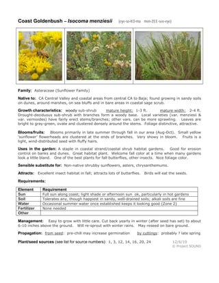 Coast Goldenbush – Isocoma menziesii (eye-so-KO-ma men-ZEE-see-eye)
Family: Asteraceae (Sunflower Family)
Native to: CA Central Valley and coastal areas from central CA to Baja; found growing in sandy soils
on dunes, around marshes, on sea bluffs and in bare areas in coastal sage scrub.
Growth characteristics: woody sub-shrub mature height: 1-3 ft. mature width: 2-4 ft.
Drought-deciduous sub-shrub with branches form a woody base. Local varieties (var. menziesii &
var. vernioides) have fairly erect stems/branches; other vars. can be more sprawling. Leaves are
bright to gray-green, ovate and clustered densely around the stems. Foliage distinctive, attractive.
Blooms/fruits: Blooms primarily in late summer through fall in our area (Aug-Oct). Small yellow
‘sunflower’ flowerheads are clustered at the ends of branches. Very showy in bloom. Fruits is a
light, wind-distributed seed with fluffy hairs.
Uses in the garden: A staple in coastal strand/coastal shrub habitat gardens. Good for erosion
control on banks and dunes. Great habitat plant. Welcome fall color at a time when many gardens
look a little bland. One of the best plants for fall butterflies, other insects. Nice foliage color.
Sensible substitute for: Non-native shrubby sunflowers, asters, chrysanthemums.
Attracts: Excellent insect habitat in fall; attracts lots of butterflies. Birds will eat the seeds.
Requirements:
Element Requirement
Sun Full sun along coast; light shade or afternoon sun ok, particularly in hot gardens
Soil Tolerates any, though happiest in sandy, well-drained soils; alkali soils are fine
Water Occasional summer water once established keeps it looking good (Zone 2)
Fertilizer None needed
Other
Management: Easy to grow with little care. Cut back yearly in winter (after seed has set) to about
6-10 inches above the ground. Will re-sprout with winter rains. May reseed on bare ground.
Propagation: from seed: pre-chill may increase germination by cuttings: probably ? late spring
Plant/seed sources (see list for source numbers): 1, 3, 12, 14, 16, 20, 24 12/6/10
© Project SOUND
 