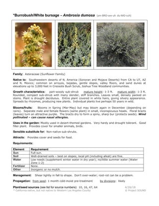 *Burrobush/White bursage – Ambrosia dumosa (am-BRO-see-uh du-MO-suh)
Family: Asteraceae (Sunflower Family)
Native to: Southwestern deserts of N. America (Sonoran and Mojave Deserts) from CA to UT, AZ
and N. Mexico; common on arroyos, bajadas, gentle slopes, valley floors, and sand dunes at
elevations up to 3,000 feet in Creosote Bush Scrub, Joshua Tree Woodland communities.
Growth characteristics: part-woody sub-shrub mature height: 1-3 ft. mature width: 1-3 ft.
Rounded, compact sub-shrub with many slender, stiff branches. Leaves small, densely packed on
stems. Plant is drought deciduous. Entire plant covered in white hairs, giving silvery appearance.
Spreads by rhizomes, producing new plants. Individual plants live perhaps 50 years in wild.
Blooms/fruits: Blooms in Spring (Mar-May) but may bloom again in December (depending on
rains). Separate male and female flowers (same plant) in small, inconspicuous heads. Floral bracts
(leaves) turn an attractive purple. The bracts dry to form a spiny, sharp bur (protects seeds). Wind
pollinated – can cause nasal allergies.
Uses in the garden: Mostly used in desert-themed gardens. Very hardy and drought tolerant. Good
filler plant. Provides cover for smaller animals, birds.
Sensible substitute for: Non-native sub-shrubs.
Attracts: Provides cover and seeds for food.
Requirements:
Element Requirement
Sun Full sun.
Soil Well-drained soils – best on slopes; local pH (including alkali) are fine.
Water Low needs (supplement winter water in dry year); no/little summer water (Water
Zone 1-2)
Fertilizer None.
Other Inorganic or no mulch.
Management: Shear lightly in fall to shape. Don’t over-water; root-rot can be a problem.
Propagation: from seed: 1 month cold-moist pre-treatment by divisions: likely
Plant/seed sources (see list for source numbers): 10, 16, 47, 64 4/26/18
* California native, but not native to Western Los Angeles County © Project SOUND
 