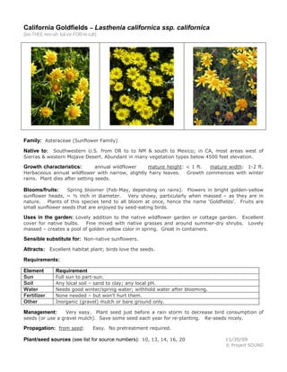 California Goldfields – Lasthenia californica ssp. californica
(las-THEE-nee-uh kal-ee-FOR-ni-cuh)
Family: Asteraceae (Sunflower Family)
Native to: Southwestern U.S. from OR to to NM & south to Mexico; in CA, most areas west of
Sierras & western Mojave Desert. Abundant in many vegetation types below 4500 feet elevation.
Growth characteristics: annual wildflower mature height: < 1 ft. mature width: 1-2 ft.
Herbaceous annual wildflower with narrow, slightly hairy leaves. Growth commences with winter
rains. Plant dies after setting seeds.
Blooms/fruits: Spring bloomer (Feb-May, depending on rains). Flowers in bright golden-yellow
sunflower heads, ~ ½ inch in diameter. Very showy, particularly when massed – as they are in
nature. Plants of this species tend to all bloom at once, hence the name ‘Goldfields’. Fruits are
small sunflower seeds that are enjoyed by seed-eating birds.
Uses in the garden: Lovely addition to the native wildflower garden or cottage garden. Excellent
cover for native bulbs. Fine mixed with native grasses and around summer-dry shrubs. Lovely
massed – creates a pool of golden yellow color in spring. Great in containers.
Sensible substitute for: Non-native sunflowers.
Attracts: Excellent habitat plant; birds love the seeds.
Requirements:
Element Requirement
Sun Full sun to part-sun.
Soil Any local soil – sand to clay; any local pH.
Water Needs good winter/spring water; withhold water after blooming.
Fertilizer None needed – but won’t hurt them.
Other Inorganic (gravel) mulch or bare ground only.
Management: Very easy. Plant seed just before a rain storm to decrease bird consumption of
seeds (or use a gravel mulch). Save some seed each year for re-planting. Re-seeds nicely.
Propagation: from seed: Easy. No pretreatment required.
Plant/seed sources (see list for source numbers): 10, 13, 14, 16, 20 11/30/09
© Project SOUND
 