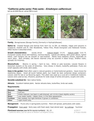 *California yerba santa / Palo santo – Eriodictyon californicum
(air-ee-oh-DICK-tee-on cal-ee-FOR-ni-cum)
Family: Boraginaceae (Borage Family) [formerly in Hydrophyllaceae]
Native to: Coastal Ranges and Sierras from Kern Co. to OR; on hillsides, ridges and canyons in
Chaparral, Foothill and N. Oak Woodlands, Yellow Pine, Mixed Evergreen and Redwood Forests.
Often found in disturbed areas.
Growth characteristics: woody shrub mature height: 3-5 ft. mature width: 3-6+ ft.
Evergreen woody shrub with leathery, resinous leaves. Leaves are oblong, dark green above; lighter
below. Leaf margins can be smooth or saw-toothed. Plants have balsamic aroma, especially on
warm days. Bark shreddy; old leaves retained (may be covered in black fungi). Shallow roots;
spreads via rhizomes.
Blooms/fruits: Blooms in spring – April to July. White or pale lavender, tubular flowers in
branched clusters at the ends of branches. Very showy in bloom; butterfly pollinated. Fruits are
small capsules with small, dark seeds.
Uses in the garden: Most often used in natural gardens or herb/medicinal gardens. Good choice for
stabilizing slopes. Good all-round habitat plant, but might be best contained (large container).
Leaves used for tea or as flavoring agent. This plant was used as a cure-all in traditional medicine.
Leaves were used as tea, infusions, poultices for wide range of aches and pains, coughs and colds.
Sensible substitute for: Non-native herbs.
Attracts: Excellent habitat plant. Nectar attracts bees, butterflies; birds eat seeds.
Requirements:
Element Requirement
Sun Full sun.
Soil Pretty tolerant, but best in well-drained; pH 5.0-8.0 (best slightly acidic)
Water Low water needs – Water Zone 1-2 for best appearance.
Fertilizer Not needed, but light fertilizer if grown in container.
Other Light mulch only.
Management: Prune only in spring/early summer. Plant will spread, particularly with water.
Propagation: from seed: fairly easy with fresh seed; heat stored seed by cuttings: ?summer
Plant/seed sources (see list for source numbers): 10, 13 4/29/17
* California native, but not native to Western Los Angeles County © Project SOUND
 