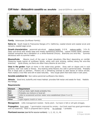 Cliff Aster – Malacothrix saxatilis var. tenuifolia (mal-uh-COTH-rix saks-A-til-iss)
Family: Asteraceae (Sunflower Family)
Native to: South Coast & Transverse Ranges of S. California; coastal strand and coastal scrub and
canyons, coastal-sage scrub.
Growth characteristics: perennial sub-shrub mature height: 2-5 ft. mature width: 3-5+ ft.
Open sub-shrub with woody base and mostly herbaceous branches. Leaves mostly basal, coarsely-
toothed somewhat like a dandelion or a white-flowered Chicory. Branches are wire-like. Summer
deciduous with no summer water.
Blooms/fruits: Blooms much of the year in lower elevations (Mar-Nov) depending on rainfall.
Flowering heads typical of sunflower family, white with pink striping, solitary along the wire-like
branches. Quite showy, as there are often many blooms at one time.
Uses in the garden: Right at home in the water-wise garden. Does well on slopes and in rock
gardens, near rock walls or fences. Airy-looking white flowers mix well in perennial beds. Probably
fine in large pots or planters. Flowers are a refreshing contrast to dark leaves of native shrubs.
Plant makes a nice filler and will re-seed naturally. Very tough plant that looks best in wet years.
Sensible substitute for: Non-native perennial sunflowers like Asters.
Attracts: Good bird, butterfly and insect habitat: provides Fall nectar and seeds for food. Rabbits
like foliage.
Requirements:
Element Requirement
Sun Full sun best; light shade probably fine.
Soil Probably any texture or local pH
Water Little to occasional summer water once established (Zone ½ or 2)
Fertilizer None
Other Light organic mulch or none
Management: Little management needed. Hardy plant. Cut back in fall or will gets straggly.
Propagation: from seed: ? germination improved by smoke – but fresh seed has good germination
with no treatment. Plant in prepared bed in spring by cuttings: ? probably
Plant/seed sources (see list for source numbers): 1, 2, 10, 11, 46 7/3/14
© Project SOUND
 