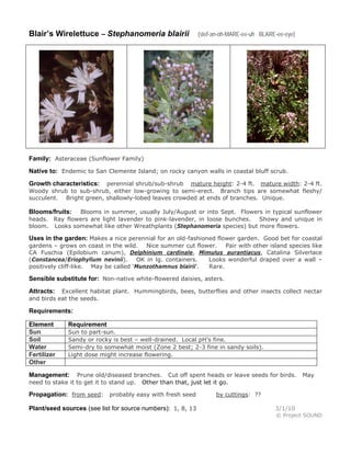 Blair’s Wirelettuce – Stephanomeria blairii (stef-an-oh-MARE-ee-uh BLARE-ee-eye)
Family: Asteraceae (Sunflower Family)
Native to: Endemic to San Clemente Island; on rocky canyon walls in coastal bluff scrub.
Growth characteristics: perennial shrub/sub-shrub mature height: 2-4 ft. mature width: 2-4 ft.
Woody shrub to sub-shrub, either low-growing to semi-erect. Branch tips are somewhat fleshy/
succulent. Bright green, shallowly-lobed leaves crowded at ends of branches. Unique.
Blooms/fruits: Blooms in summer, usually July/August or into Sept. Flowers in typical sunflower
heads. Ray flowers are light lavender to pink-lavender, in loose bunches. Showy and unique in
bloom. Looks somewhat like other Wreathplants (Stephanomeria species) but more flowers.
Uses in the garden: Makes a nice perennial for an old-fashioned flower garden. Good bet for coastal
gardens – grows on coast in the wild. Nice summer cut flower. Pair with other island species like
CA Fuschia (Epilobium canum), Delphinium cardinale, Mimulus aurantiacus, Catalina Silverlace
(Constancea/Eriophyllum nevinii). OK in lg. containers. Looks wonderful draped over a wall –
positively cliff-like. May be called ‘Munzothamnus blairii’. Rare.
Sensible substitute for: Non-native white-flowered daisies, asters.
Attracts: Excellent habitat plant. Hummingbirds, bees, butterflies and other insects collect nectar
and birds eat the seeds.
Requirements:
Element Requirement
Sun Sun to part-sun.
Soil Sandy or rocky is best – well-drained. Local pH’s fine.
Water Semi-dry to somewhat moist (Zone 2 best; 2-3 fine in sandy soils).
Fertilizer Light dose might increase flowering.
Other
Management: Prune old/diseased branches. Cut off spent heads or leave seeds for birds. May
need to stake it to get it to stand up. Other than that, just let it go.
Propagation: from seed: probably easy with fresh seed by cuttings: ??
Plant/seed sources (see list for source numbers): 1, 8, 13 3/1/10
© Project SOUND
 