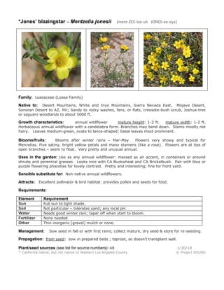 *Jones’ blazingstar – Mentzelia jonesii (ment-ZEE-lee-uh JONES-ee-eye)
Family: Loasaceae (Loasa Family)
Native to: Desert Mountains, White and Inyo Mountains, Sierra Nevada East, Mojave Desert,
Sonoran Desert to AZ, NV; Sandy to rocky washes, fans, or flats, creosote-bush scrub, Joshua-tree
or saguaro woodlands to about 5000 ft.
Growth characteristics: annual wildflower mature height: 1-2 ft. mature width: 1-2 ft.
Herbaceous annual wildflower with a candelabra form. Branches may bend down. Stems mostly not
hairy. Leaves medium-green, ovate to lance-shaped; basal leaves most prominent.
Blooms/fruits: Blooms after winter rains – Mar-May. Flowers very showy and typical for
Menzelias. Five satiny, bright yellow petals and many stamens (like a rose). Flowers are at tips of
open branches – seem to float. Very pretty and unusual annual.
Uses in the garden: Use as any annual wildflower: massed as an accent, in containers or around
shrubs and perennial grasses. Looks nice with CA Buckwheat and CA Brickelbush. Pair with blue or
purple flowering phacelias for lovely contrast. Pretty and interesting; fine for front yard.
Sensible substitute for: Non-native annual wildflowers.
Attracts: Excellent pollinator & bird habitat: provides pollen and seeds for food.
Requirements:
Element Requirement
Sun Full sun to light shade.
Soil Not particular – tolerates sand; any local pH.
Water Needs good winter rain; taper off when start to bloom.
Fertilizer None needed
Other Thin inorganic (gravel) mulch or none.
Management: Sow seed in fall or with first rains; collect mature, dry seed & store for re-seeding.
Propagation: from seed: sow in prepared beds ; taproot, so doesn’t transplant well.
Plant/seed sources (see list for source numbers): 48 1/30/18
* California native, but not native to Western Los Angeles County © Project SOUND
 