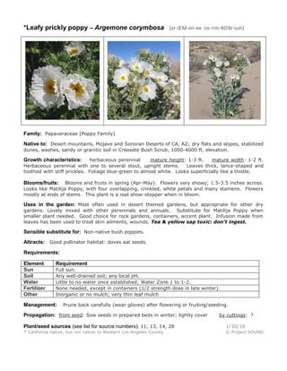 *Leafy prickly poppy – Argemone corymbosa (ar-JEM-on-ee co-rim-BOW-suh)
Family: Papaveraceae (Poppy Family)
Native to: Desert mountains, Mojave and Sonoran Deserts of CA, AZ; dry flats and slopes, stabilized
dunes, washes, sandy or granitic soil in Creosote Bush Scrub, 1000-4000 ft. elevation.
Growth characteristics: herbaceous perennial mature height: 1-3 ft. mature width: 1-2 ft.
Herbaceous perennial with one to several stout, upright stems. Leaves thick, lance-shaped and
toothed with stiff prickles. Foliage blue-green to almost white. Looks superficially like a thistle.
Blooms/fruits: Blooms and fruits in spring (Apr-May). Flowers very showy; 1.5-3.5 inches across.
Looks like Matilija Poppy, with four overlapping, crinkled, white petals and many stamens. Flowers
mostly at ends of stems. This plant is a real show-stopper when in bloom.
Uses in the garden: Most often used in desert themed gardens, but appropriate for other dry
gardens. Lovely mixed with other perennials and annuals. Substitute for Matilija Poppy when
smaller plant needed. Good choice for rock gardens, containers, accent plant. Infusion made from
leaves has been used to treat skin ailments, wounds. Tea & yellow sap toxic: don’t ingest.
Sensible substitute for: Non-native bush poppies.
Attracts: Good pollinator habitat: doves eat seeds.
Requirements:
Element Requirement
Sun Full sun.
Soil Any well-drained soil; any local pH.
Water Little to no water once established; Water Zone 1 to 1-2.
Fertilizer None needed, except in containers (1/2 strength dose in late winter).
Other Inorganic or no mulch; very thin leaf mulch
Management: Prune back carefully (wear gloves) after flowering or fruiting/seeding.
Propagation: from seed: Sow seeds in prepared beds in winter; lightly cover by cuttings: ?
Plant/seed sources (see list for source numbers): 11, 13, 14, 28 1/30/18
* California native, but not native to Western Los Angeles County © Project SOUND
 