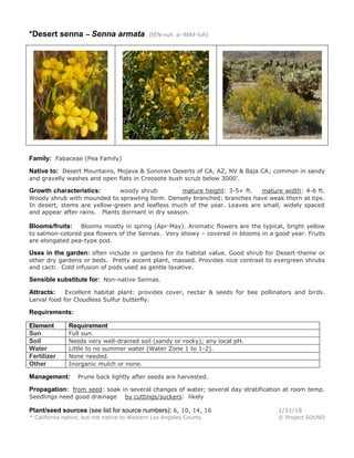 *Desert senna – Senna armata (SEN-nuh ar-MAY-tuh)
Family: Fabaceae (Pea Family)
Native to: Desert Mountains, Mojave & Sonoran Deserts of CA, AZ, NV & Baja CA; common in sandy
and gravelly washes and open flats in Creosote bush scrub below 3000'.
Growth characteristics: woody shrub mature height: 3-5+ ft. mature width: 4-6 ft.
Woody shrub with mounded to sprawling form. Densely branched; branches have weak thorn at tips.
In desert, stems are yellow-green and leafless much of the year. Leaves are small, widely spaced
and appear after rains. Plants dormant in dry season.
Blooms/fruits: Blooms mostly in spring (Apr-May). Aromatic flowers are the typical, bright yellow
to salmon-colored pea flowers of the Sennas. Very showy – covered in blooms in a good year. Fruits
are elongated pea-type pod.
Uses in the garden: often include in gardens for its habitat value. Good shrub for Desert-theme or
other dry gardens or beds. Pretty accent plant, massed. Provides nice contrast to evergreen shrubs
and cacti. Cold infusion of pods used as gentle laxative.
Sensible substitute for: Non-native Sennas.
Attracts: Excellent habitat plant: provides cover, nectar & seeds for bee pollinators and birds.
Larval food for Cloudless Sulfur butterfly.
Requirements:
Element Requirement
Sun Full sun.
Soil Needs very well-drained soil (sandy or rocky); any local pH.
Water Little to no summer water (Water Zone 1 to 1-2).
Fertilizer None needed.
Other Inorganic mulch or none.
Management: Prune back lightly after seeds are harvested.
Propagation: from seed: soak in several changes of water; several day stratification at room temp.
Seedlings need good drainage by cuttings/suckers: likely
Plant/seed sources (see list for source numbers): 6, 10, 14, 16 1/31/18
* California native, but not native to Western Los Angeles County © Project SOUND
 