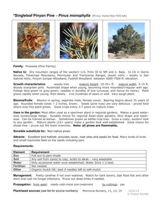 *Singleleaf Pinyon Pine – Pinus monophylla (PI-nus mono-FI(or FEE)-luh)
Family: Pinaceae (Pine Family)
Native to: Dry mountain ranges of the western U.S. from ID to NM and n. Baja. In CA in Sierra
Nevada, Tehachapi Mountains, Peninsular and Transverse Ranges, desert mtns – locally in San
Gabriel mtns; Pinyon-Juniper Woodland, Foothill Woodland between 4000-7500 ft. elevation.
Growth characteristics: woody tree mature height: 10-35+ ft. mature width: 5-15 ft.
Woody evergreen pine. Pyramidal shape when young, becoming more mounded/irregular with age.
Foliage blue-green to gray-green; needles in bundles of one (unusual, and hence its name). Plant
grows rapidly when young, then slowly. Live hundreds of years in wild. Very tough plant.
Blooms/fruits: Blooms in spring; separate male, female cones. Bearing begins about 35 years of
age. Rounded female cones ~ 2 inches, brown. Seeds (pine nuts) are very delicious – prized food
where ever this plant grows. Good crops every 3-7 years on mature trees.
Uses in the garden: Most often used as a specimen plant in regional gardens. Makes a good water-
wise screen/large hedge. Suitable choice for regional Asian-style gardens. Nice shape and water-
wise. Can be trained as bonsai. Sometimes grown as edible crop tree. Gives a rustic, western look
to any garden. Mature plants (15+ years) make a garden look well-established. Good choice for
shade tree – prune out the lower branches. Note: all pines are flammable.
Sensible substitute for: Non-native pines.
Attracts: Excellent bird habitat: provides cover, nest sites and seeds for food. Many kinds of birds
and small mammals feed on the seeds including jays.
Requirements:
Element Requirement
Sun Full sun to part-shade
Soil Any soil from sandy to clay; acidic to alkali – very adaptable
Water Only occasional water once established; Water Zone 1-2 best.
Fertilizer Not needed
Other Organic mulch OK; best if needles left to self-mulch
Management: Pretty carefree if not over-watered. Watch for bark borers, Oak Root Rot and other
stem and root rot fungal infections. Prune out dead limbs if needed.
Propagation: from seed: needs cold-moist pre-treatment by cuttings: yes
Plant/seed sources (see list for source numbers): Monrovia Nursery, 11, 13, 14 12/2/13
© Project SOUND
 