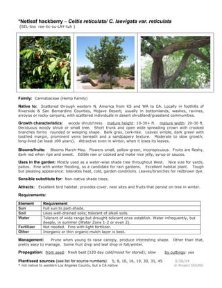 *Netleaf hackberry – Celtis reticulata/ C. laevigata var. reticulata
(SEL-tiss ree-tic-cu-LAY-tuh )
Family: Cannabaceae (Hemp Family)
Native to: Scattered through western N. America from KS and WA to CA. Locally in foothills of
Riverside & San Bernardino Counties, Mojave Desert; usually in bottomlands, washes, ravines,
arroyos or rocky canyons, with scattered individuals in desert shrubland/grassland communities.
Growth characteristics: woody shrub/tress mature height: 10-30+ ft. mature width: 20-30 ft.
Deciduous woody shrub or small tree. Short trunk and open wide spreading crown with crooked
branches forms rounded or weeping shape. Bark gray, cork-like. Leaves simple, dark green with
toothed margin, prominent veins beneath and a sandpapery texture. Moderate to slow growth;
long-lived (at least 100 years). Attractive even in winter, when it loses its leaves.
Blooms/fruits: Blooms March-May. Flowers small, yellow-green, inconspicuous. Fruits are fleshy,
dark red when ripe and sweet. Edible raw or cooked and make nice jelly, syrup or sauces.
Uses in the garden: Mostly used as a water-wise shade tree throughout West. Nice size for yards,
patios. Fine with winter flooding, so a candidate for rain gardens. Excellent habitat plant. Tough
but pleasing appearance: tolerates heat, cold, garden conditions. Leaves/branches for redbrown dye.
Sensible substitute for: Non-native shade trees.
Attracts: Excellent bird habitat: provides cover, nest sites and fruits that persist on tree in winter.
Requirements:
Element Requirement
Sun Full sun to part-shade.
Soil Likes well-drained soils; tolerant of alkali soils.
Water Tolerant of wide range but drought-tolerant once establish. Water infrequently, but
deeply, in summer (Water Zone 1-2 or even 2).
Fertilizer Not needed. Fine with light fertilizer.
Other Inorganic or thin organic mulch layer is best.
Management: Prune when young to raise canopy, produce interesting shape. Other than that,
pretty easy to manage. Some fruit drop and leaf drop in fall/winter.
Propagation: from seed: fresh best (120 day cold/moist for stored); slow by cuttings: yes
Plant/seed sources (see list for source numbers): 5, 8, 10, 16, 19, 30, 31, 45 3/30/14
* not native to western Los Angeles County, but a CA native © Project SOUND
 
