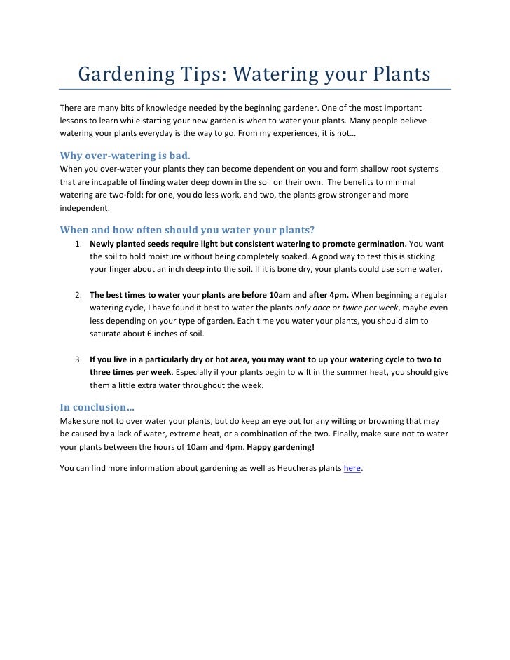 Gardening Tips Watering Your Plants